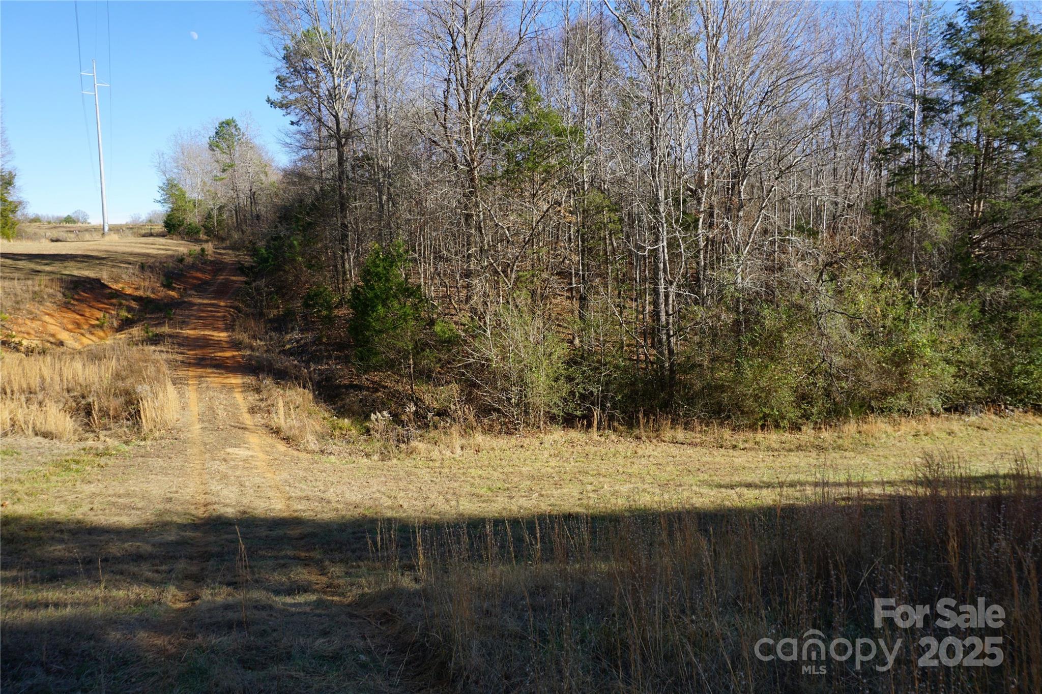 14+/-ac Canipe Road Lot E Property Photo 13
