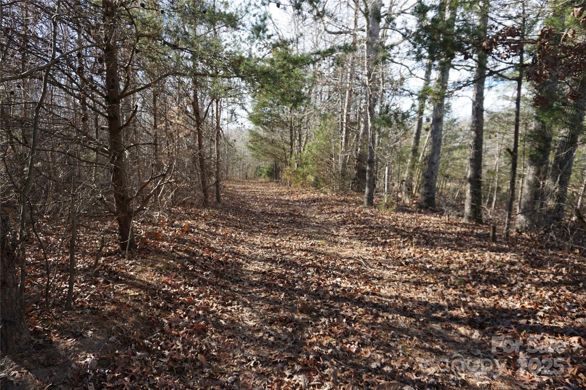 14+/-ac Canipe Road Lot E Property Photo 14