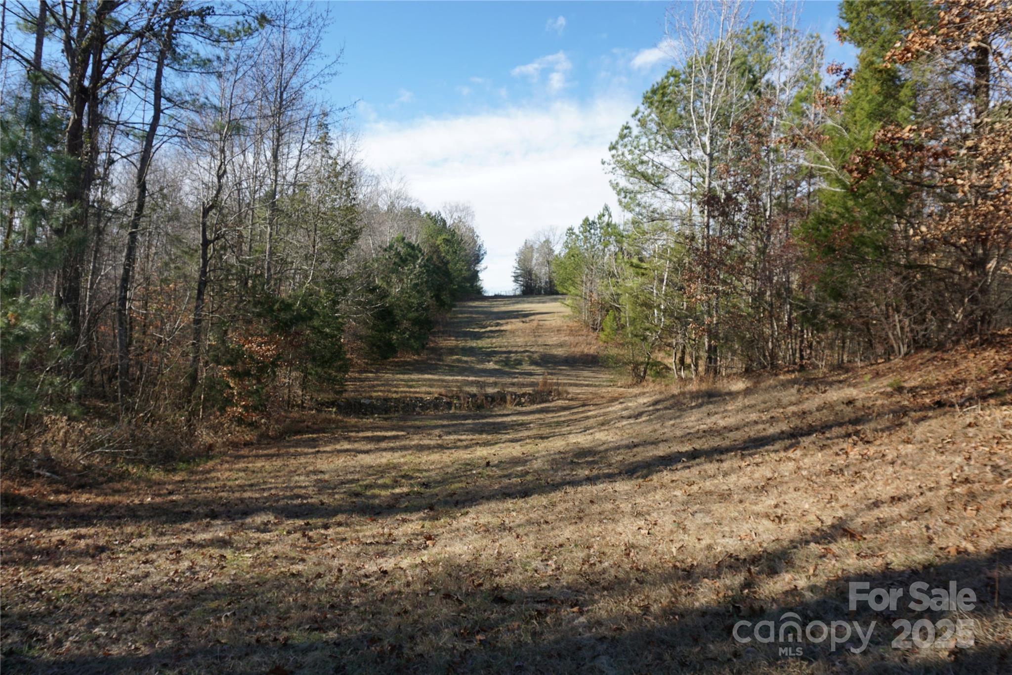 14+/-ac Canipe Road Lot E Property Photo 15