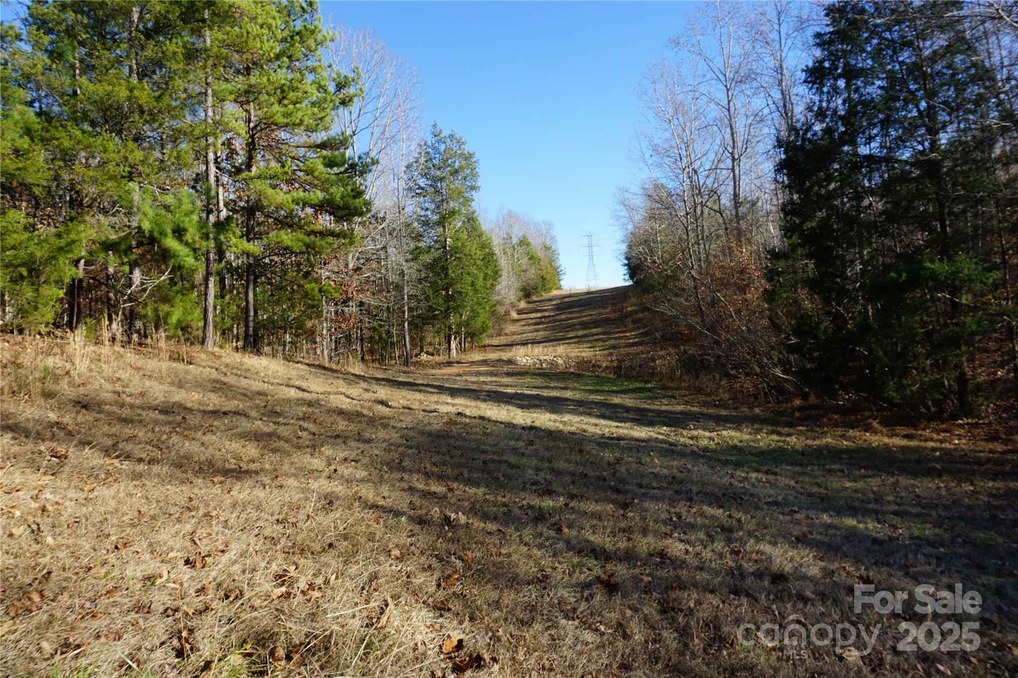 14+/-ac Canipe Road Lot E Property Photo 16