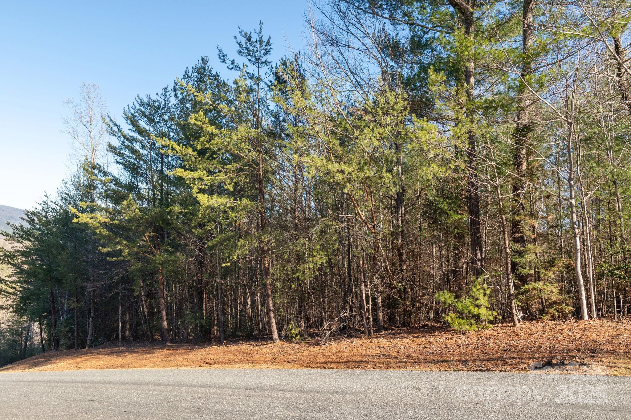 Tbd Dockside Drive Property Photo 8