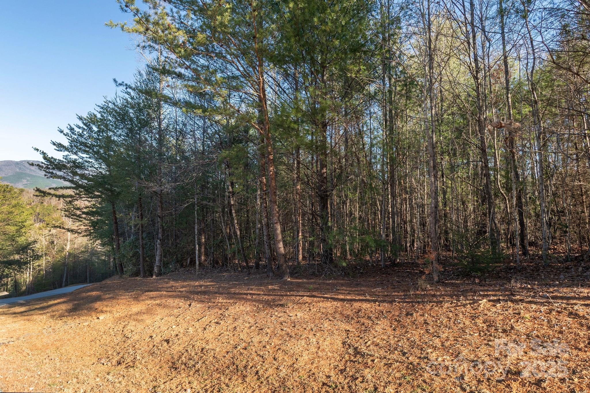 Tbd Dockside Drive Property Photo 9