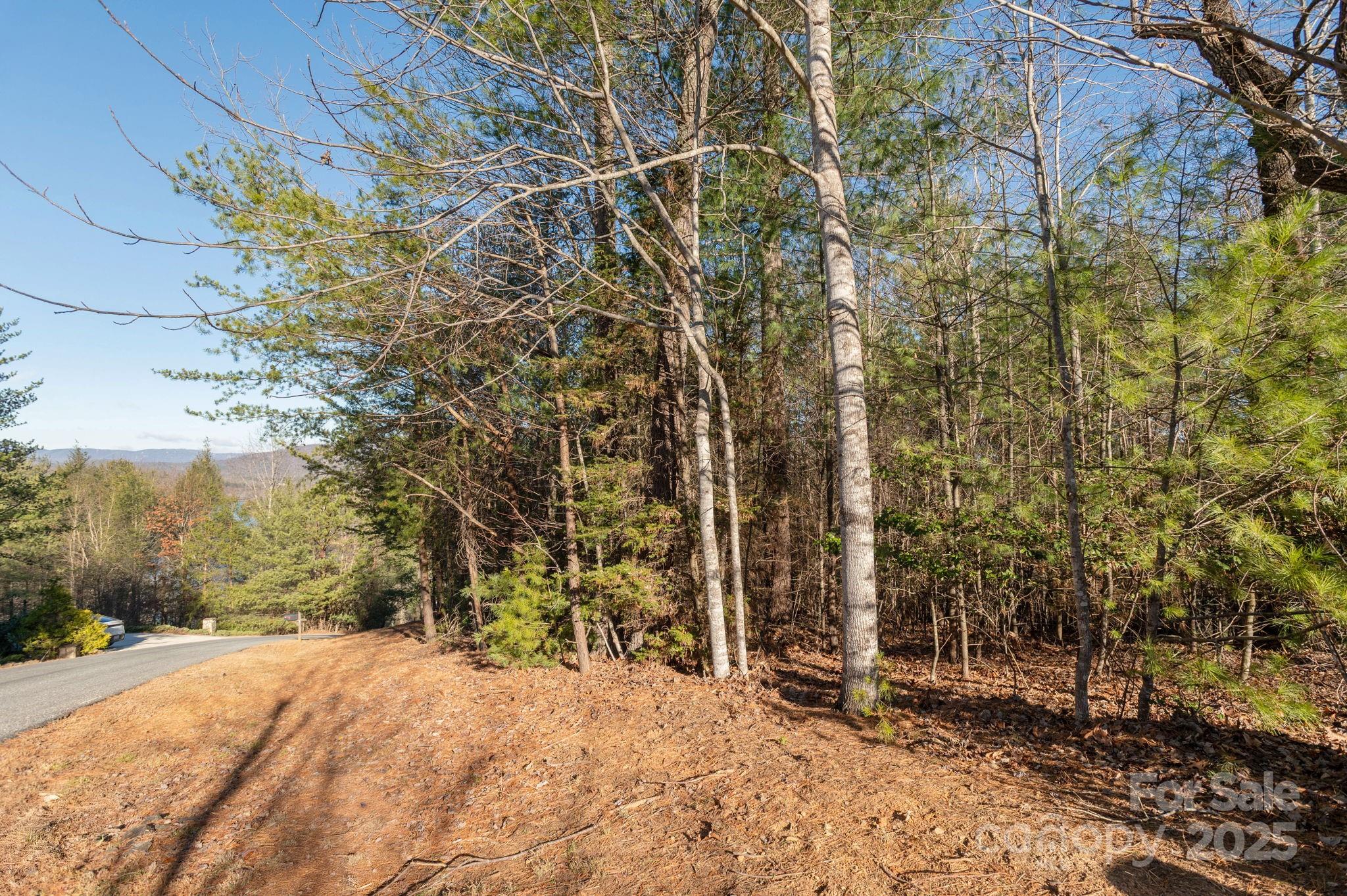 Tbd Dockside Drive Property Photo 10