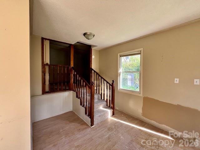 97 Oakland Drive Property Photo 14