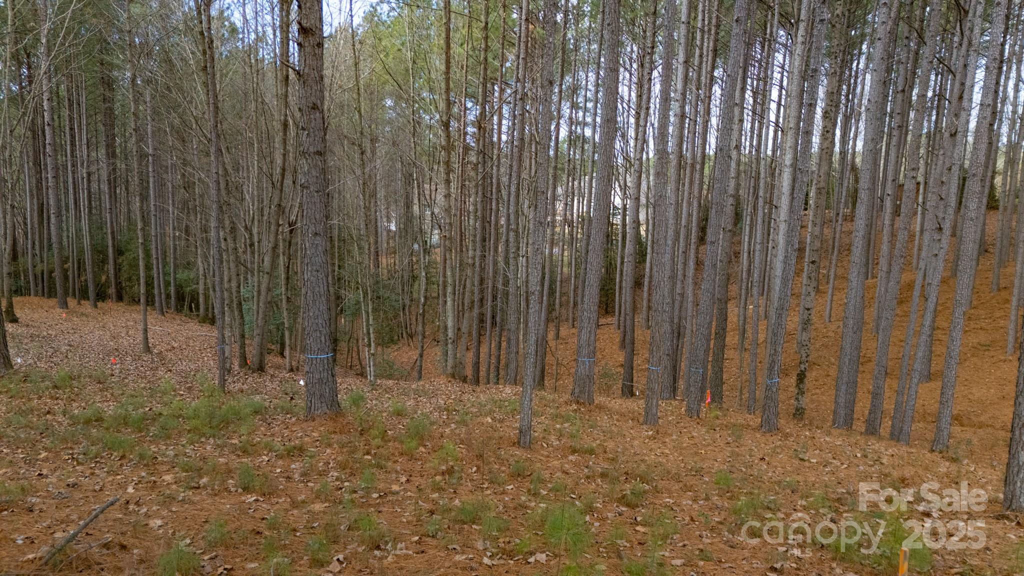340 Gardner Point Drive Property Photo 5