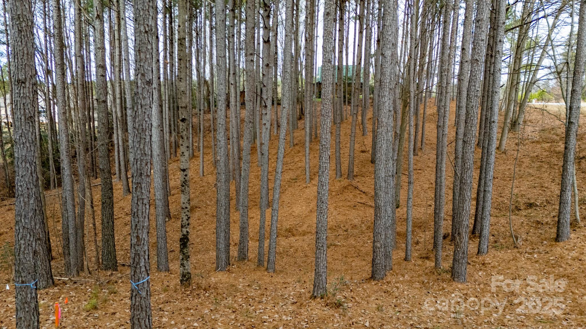 340 Gardner Point Drive Property Photo 6