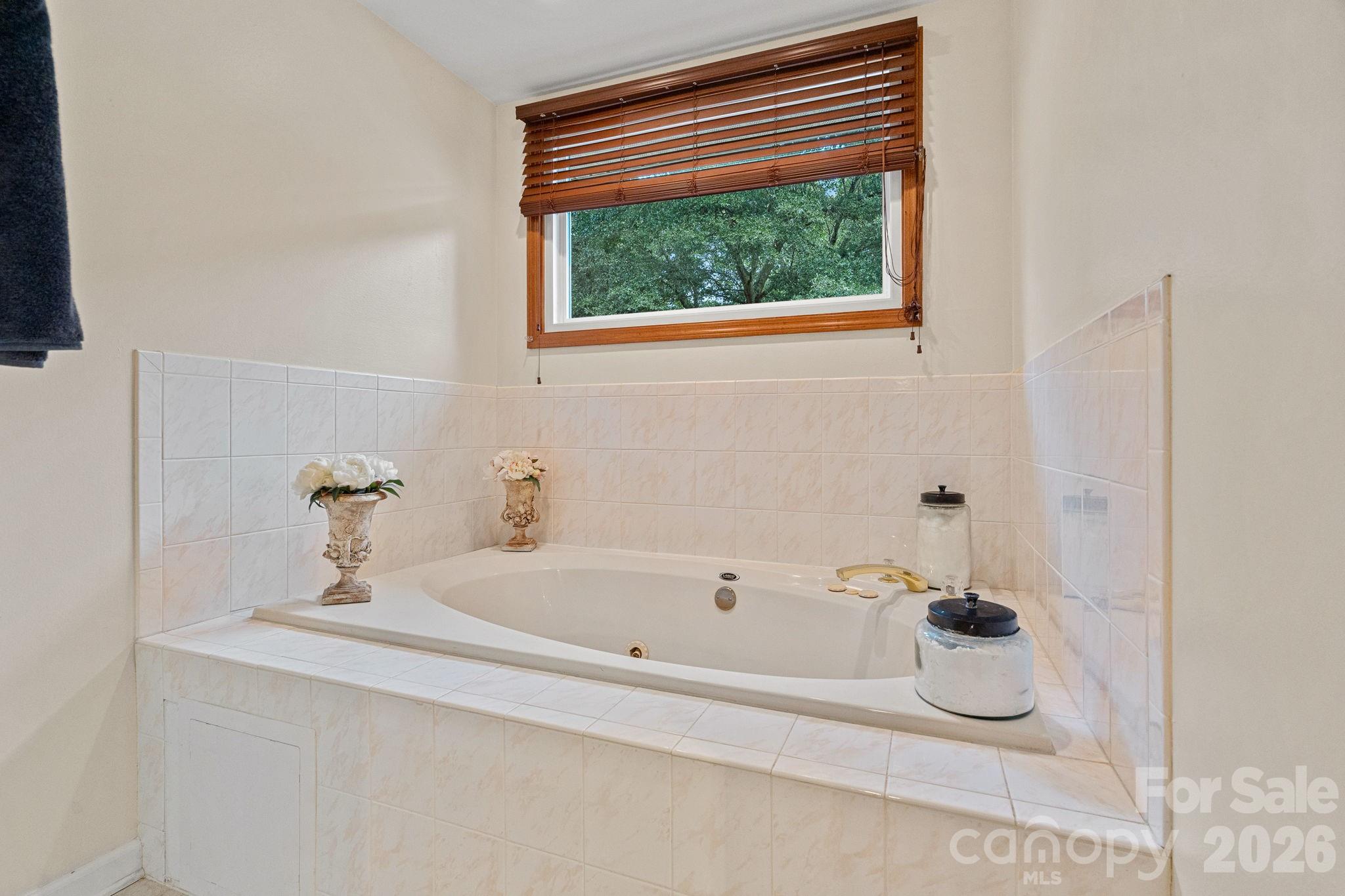 172 Tawny Bark Drive Property Photo 23