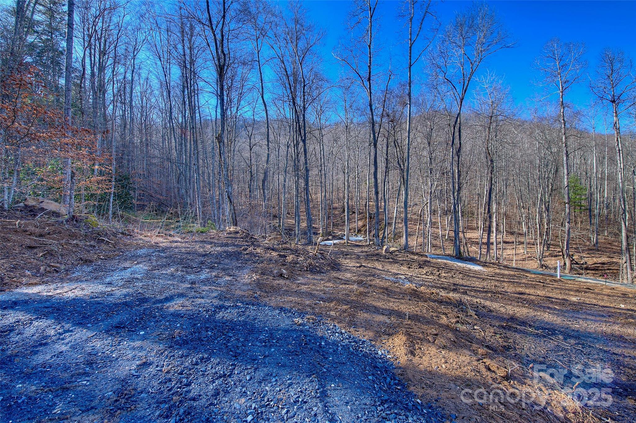 00 Shadowood Drive Property Photo 4