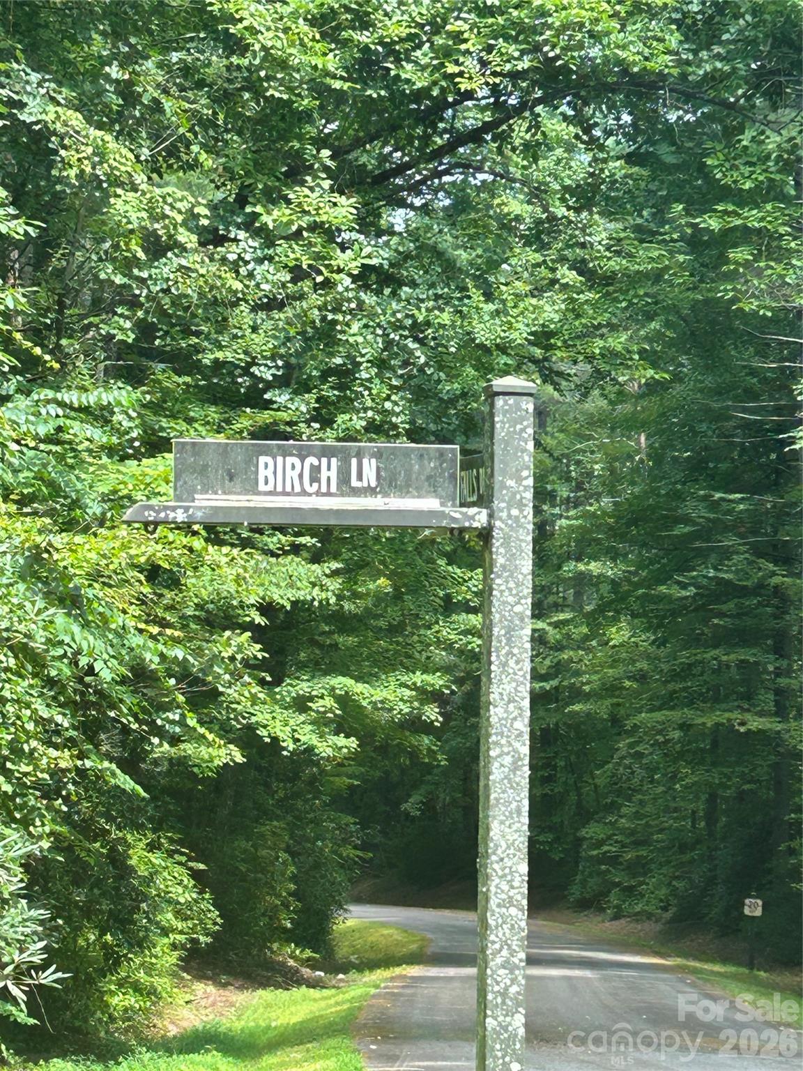 Lot 37 Birch Lane 37 Property Photo 4