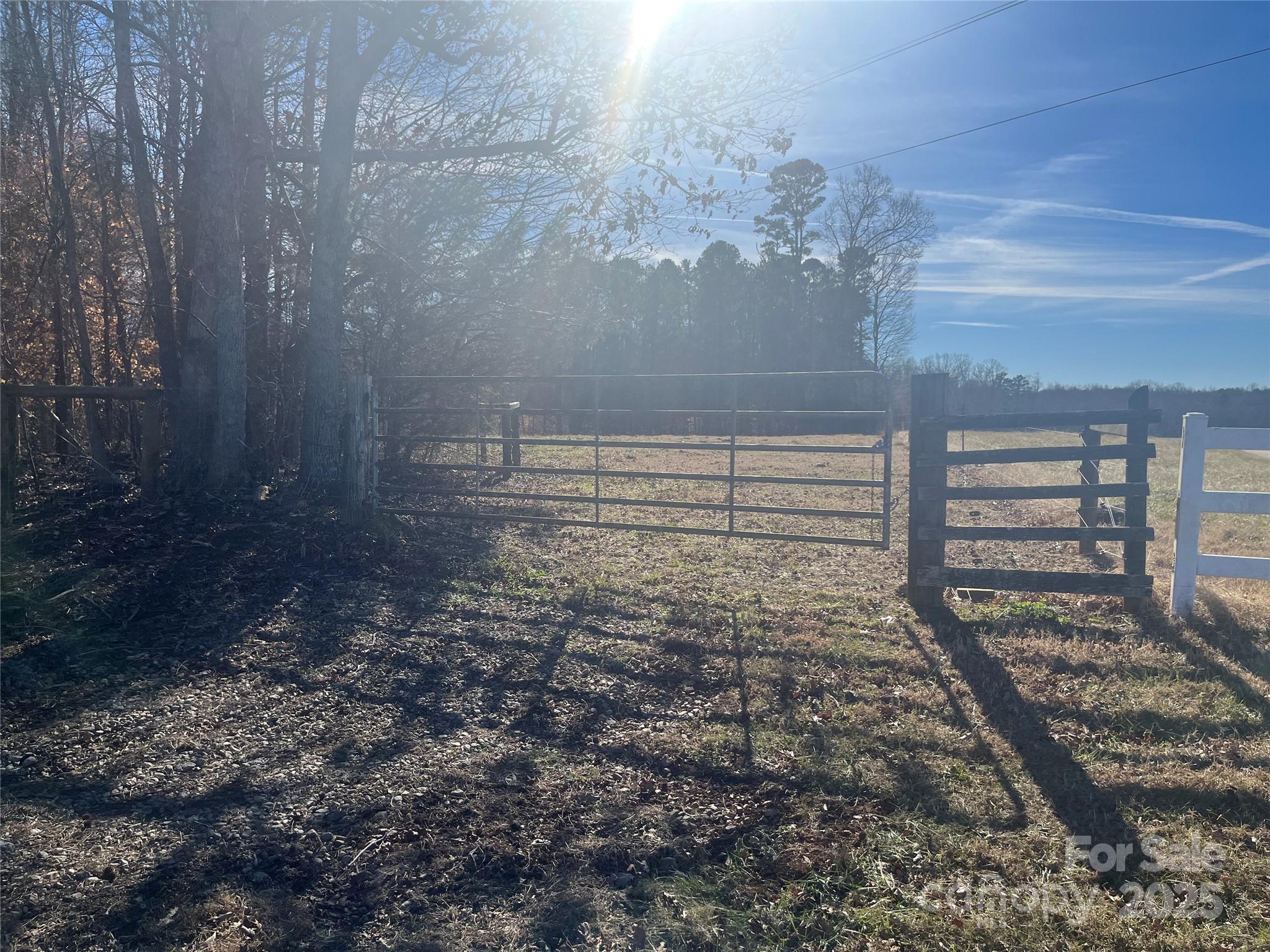 15.009 Acres Archer Road Property Photo 5