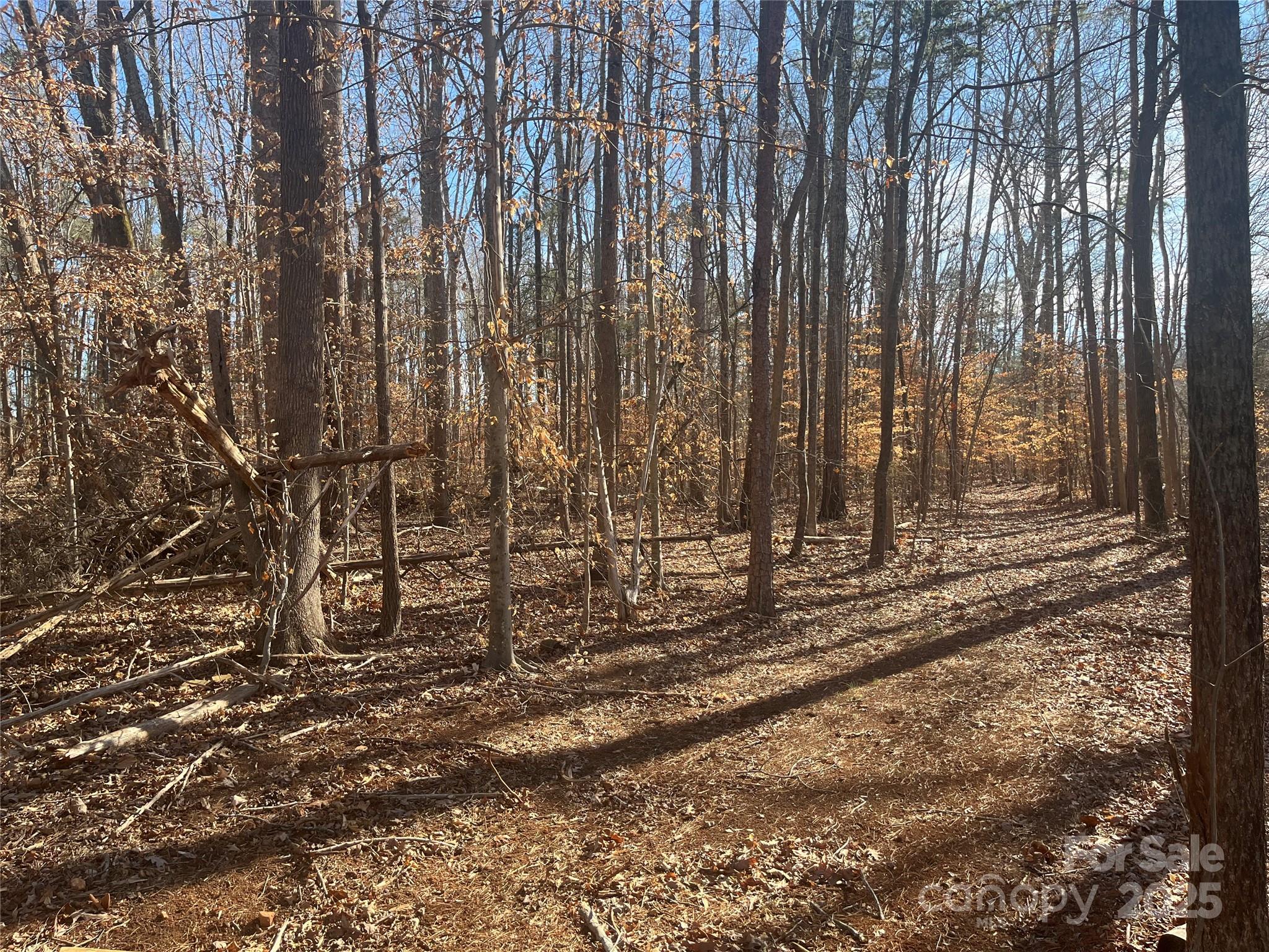 15.009 Acres Archer Road Property Photo 7
