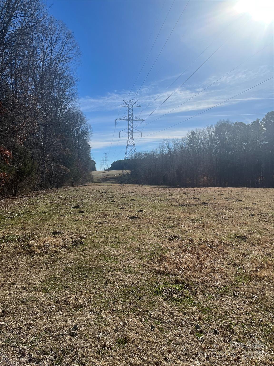 15.009 Acres Archer Road Property Photo 9