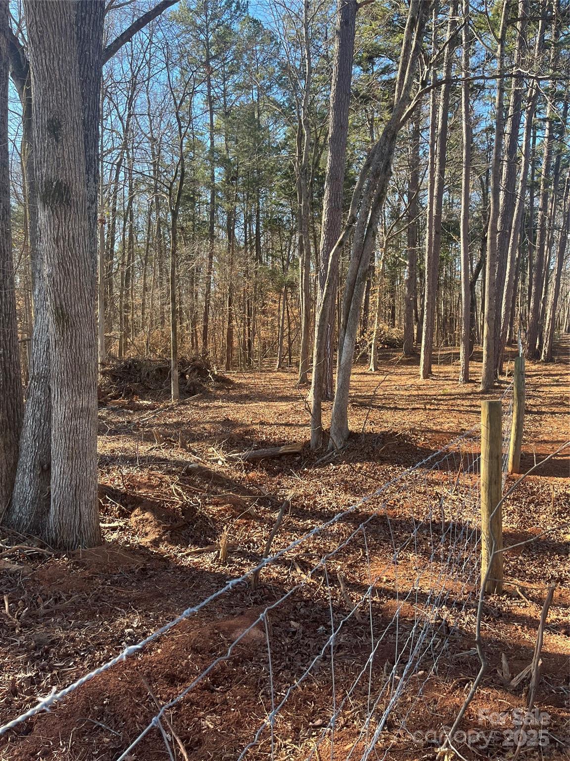 15.009 Acres Archer Road Property Photo 10