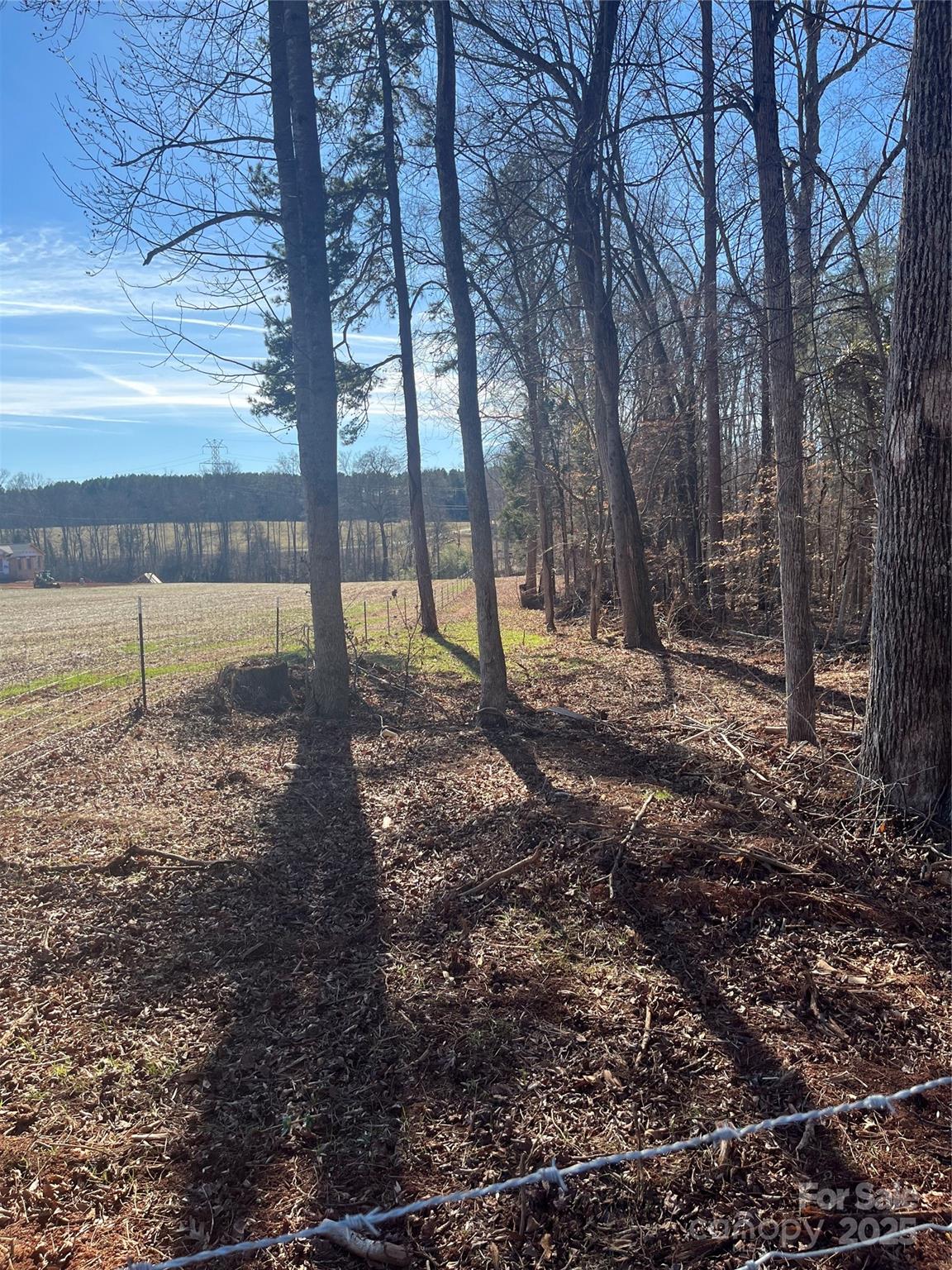 15.009 Acres Archer Road Property Photo 11