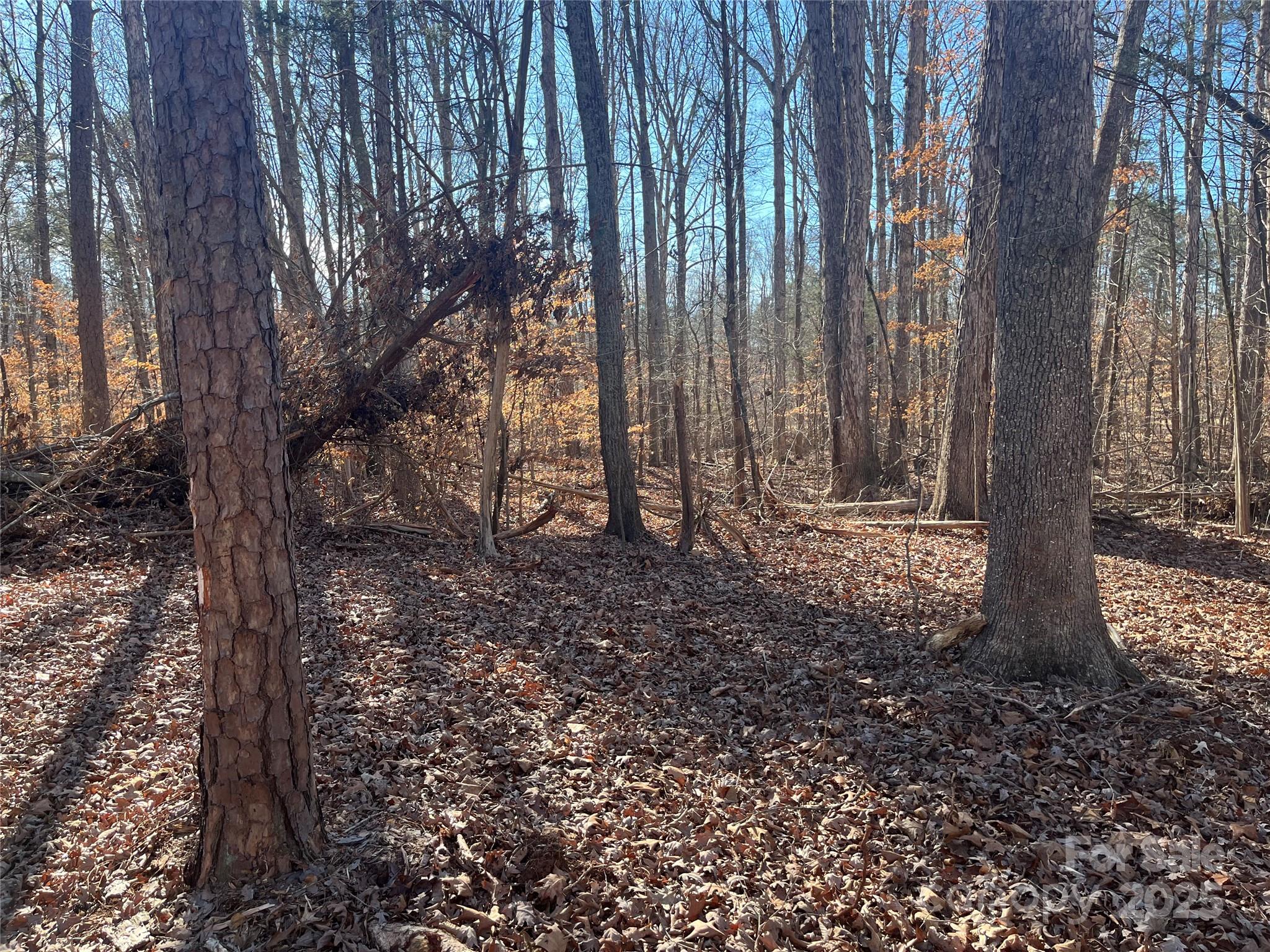 15.009 Acres Archer Road Property Photo 12