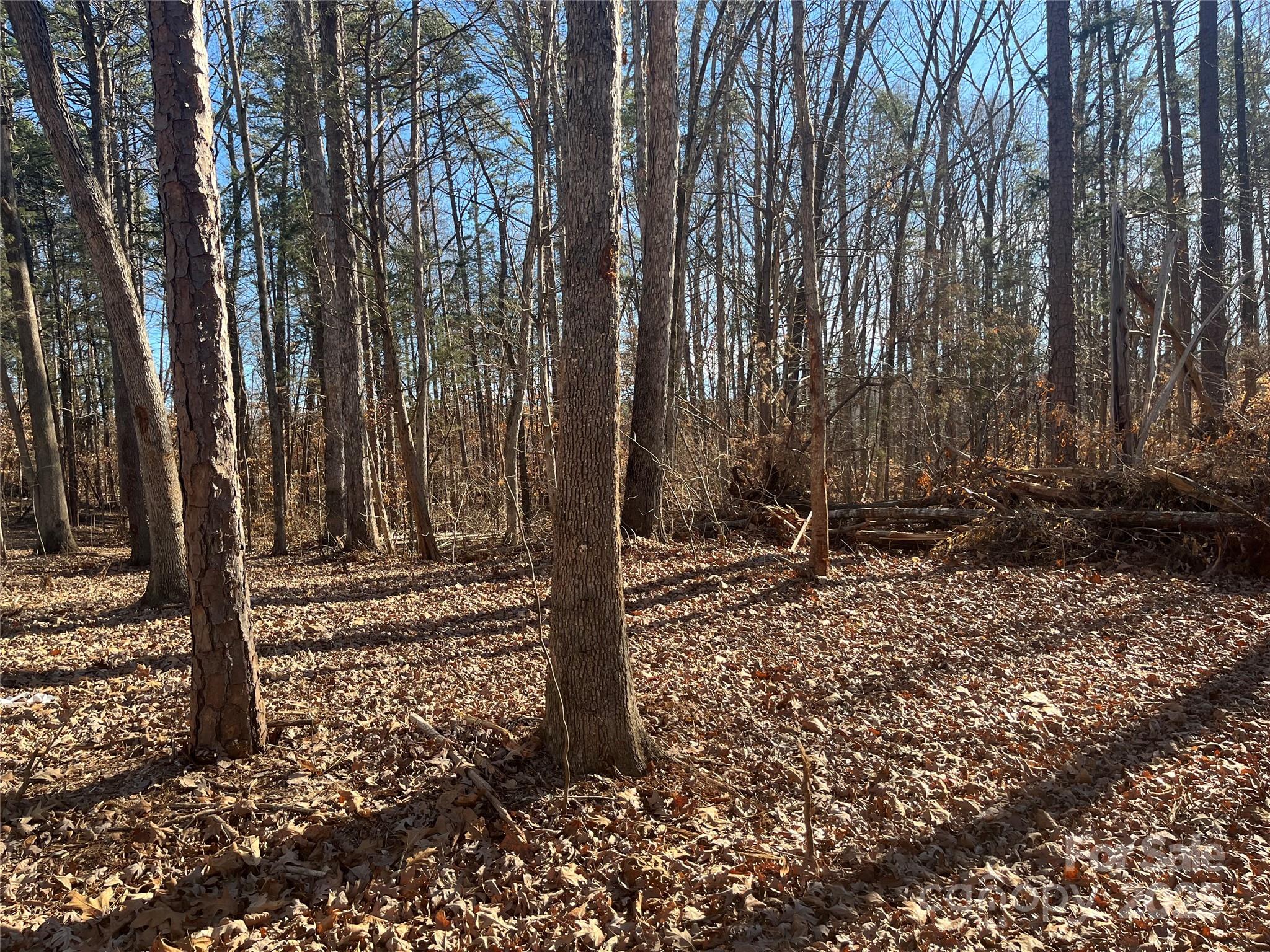 15.009 Acres Archer Road Property Photo 13