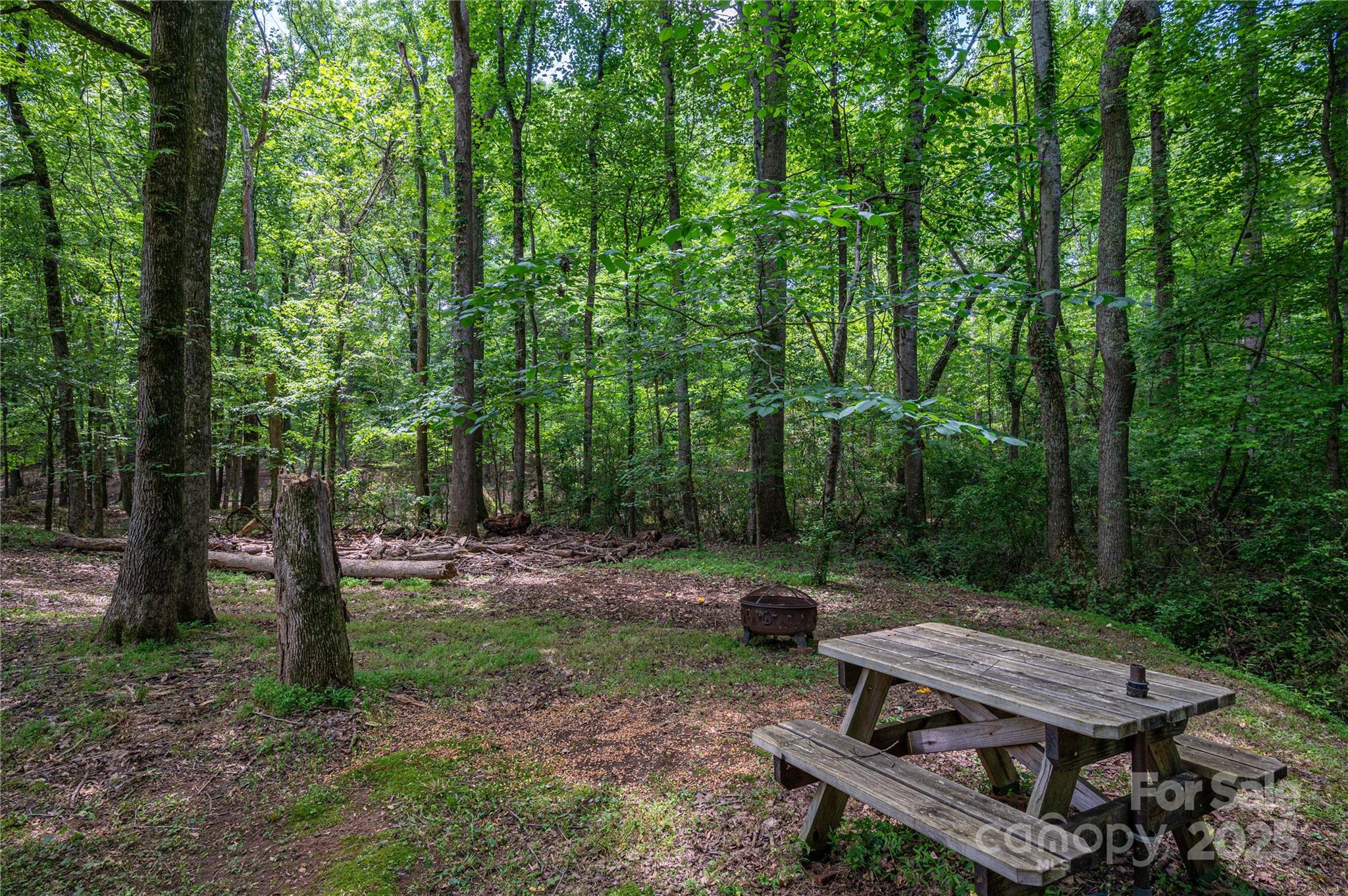 1219 Neely Smith Lane Property Photo 27