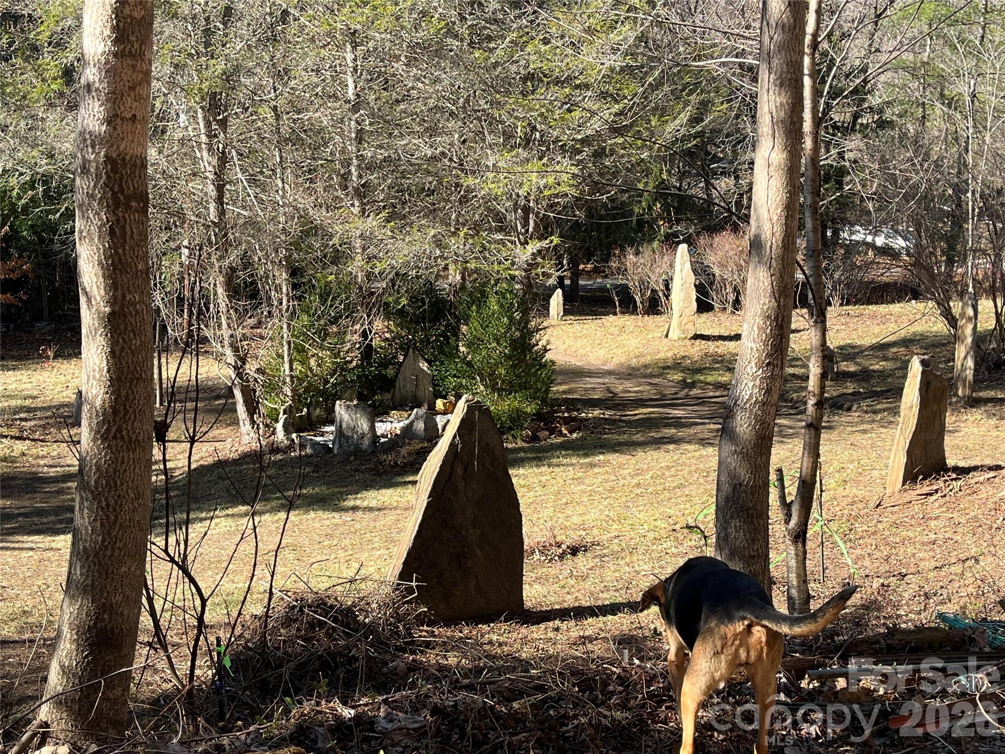 276 Cedar Creek Road Property Photo 2