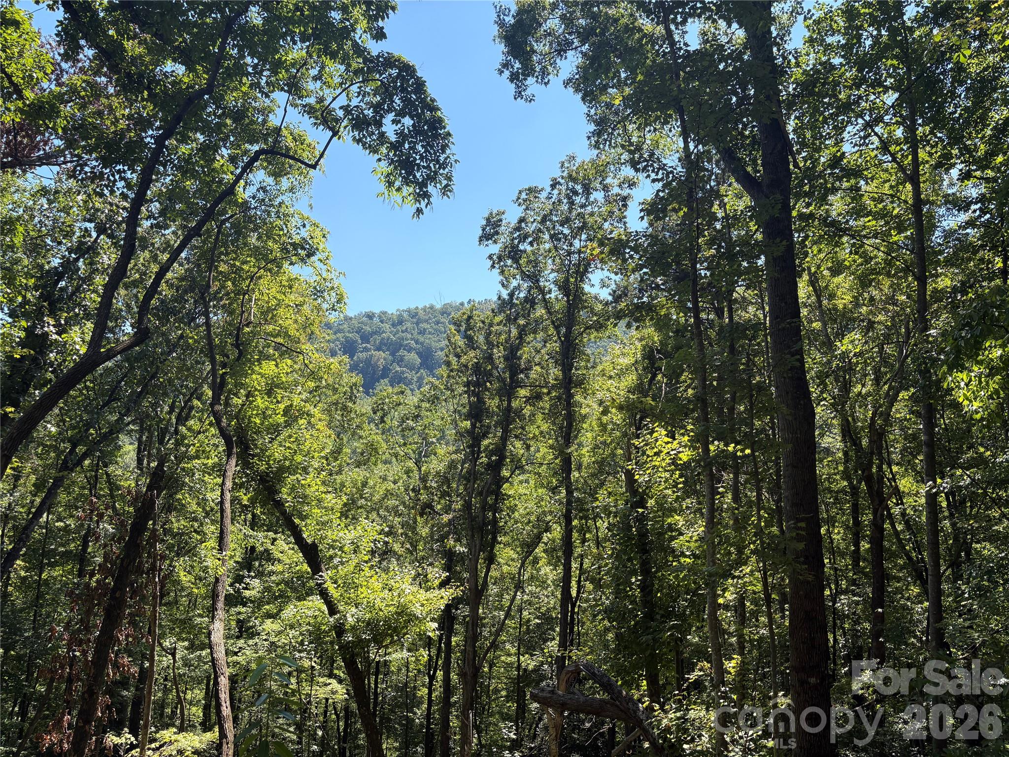 276 Cedar Creek Road Property Photo 4
