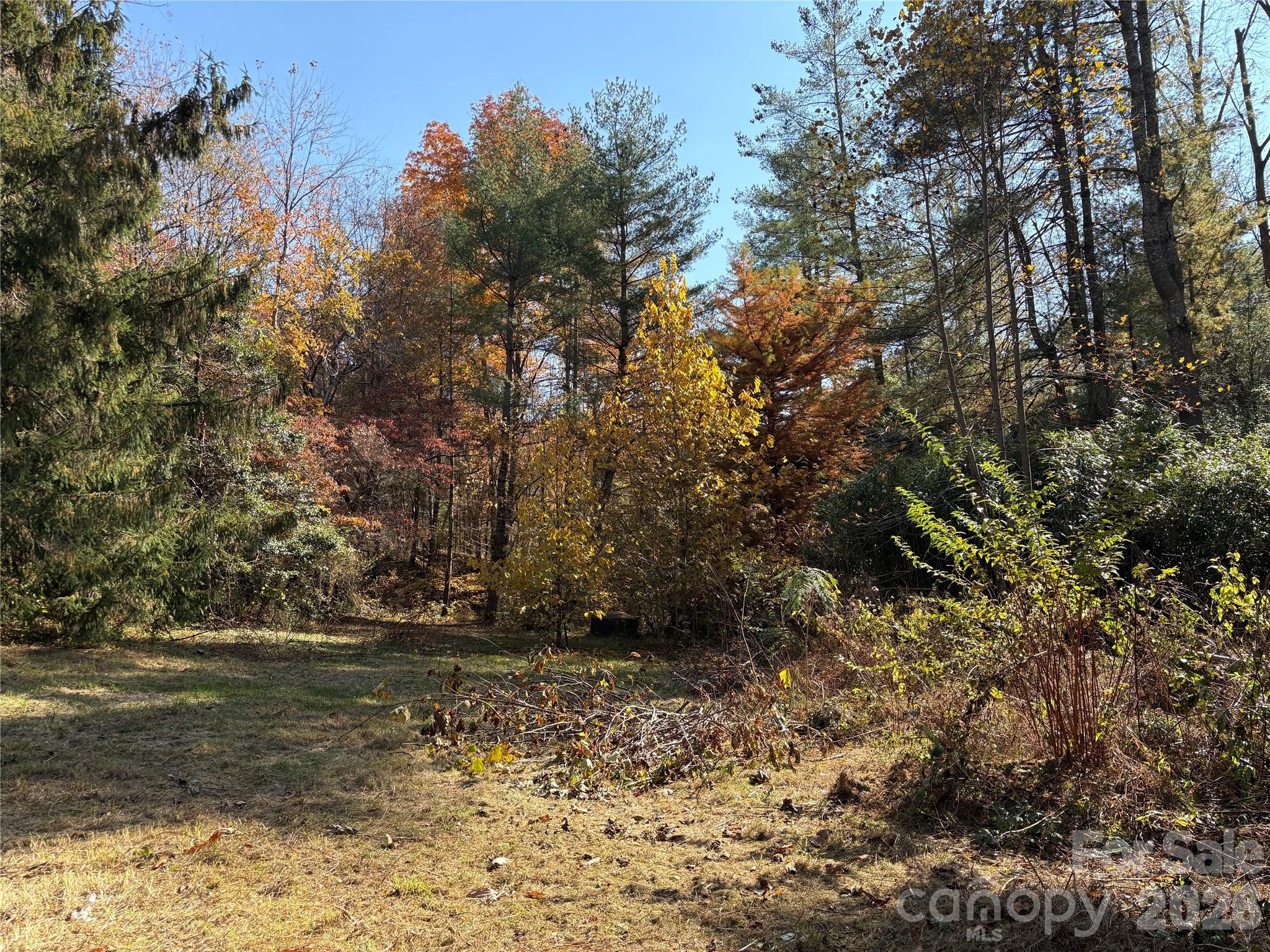 276 Cedar Creek Road Property Photo 5