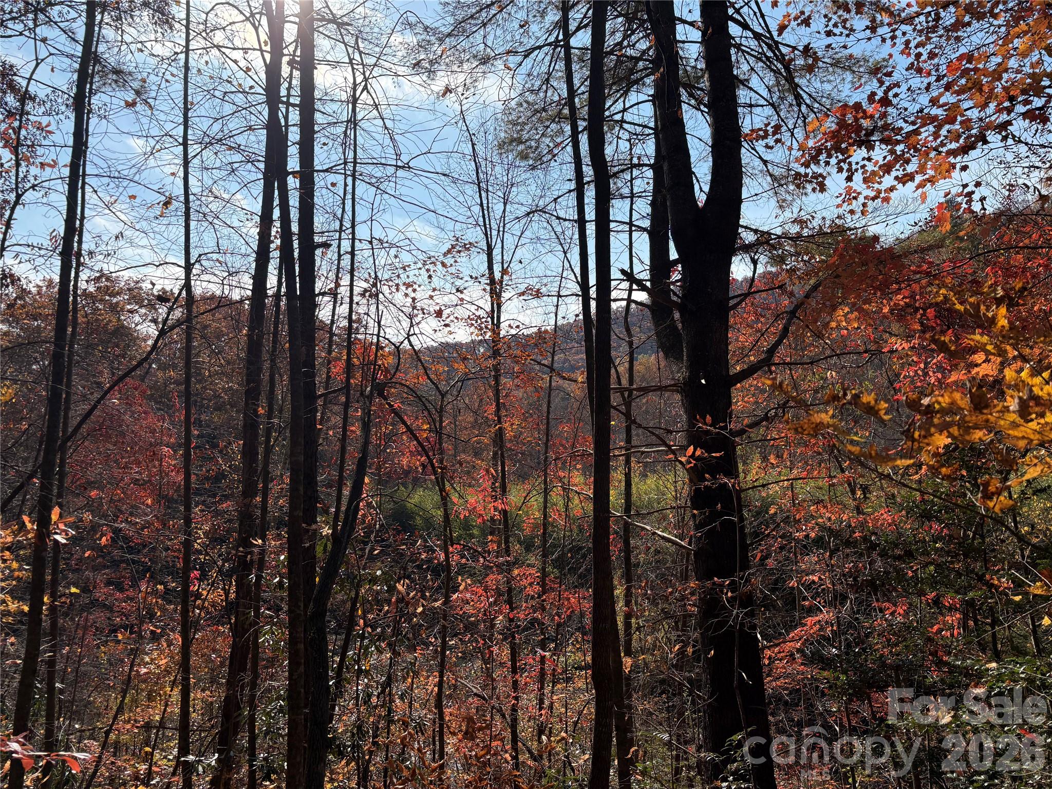276 Cedar Creek Road Property Photo 8