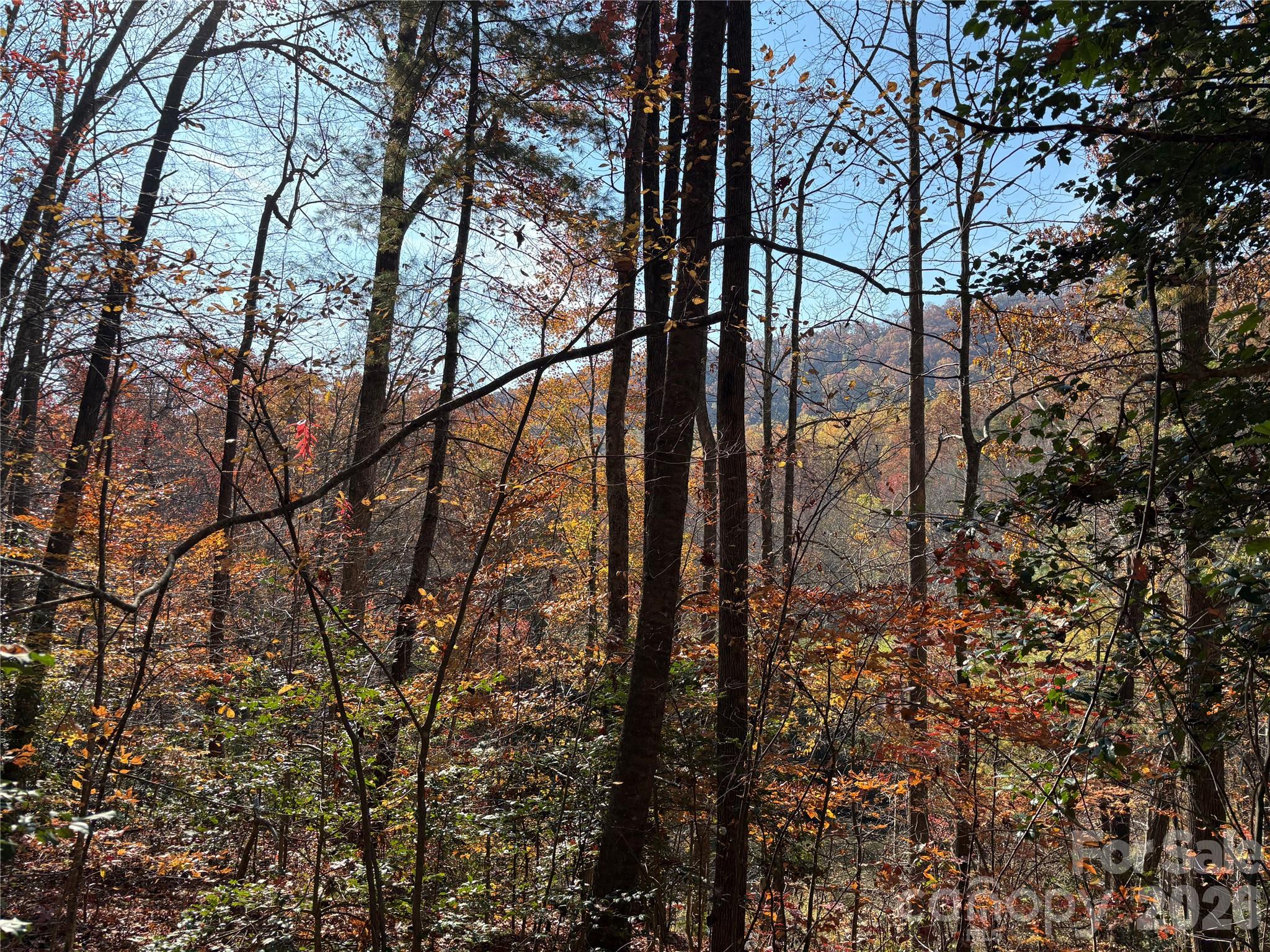 276 Cedar Creek Road Property Photo 13