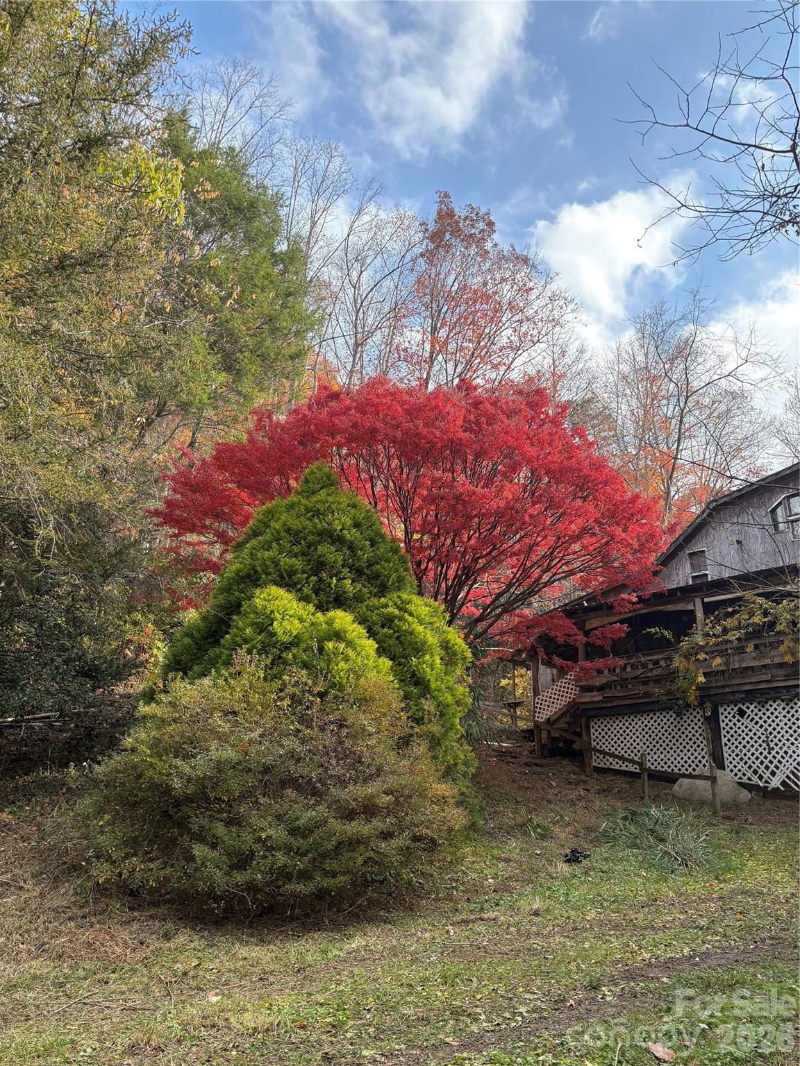 276 Cedar Creek Road Property Photo 14