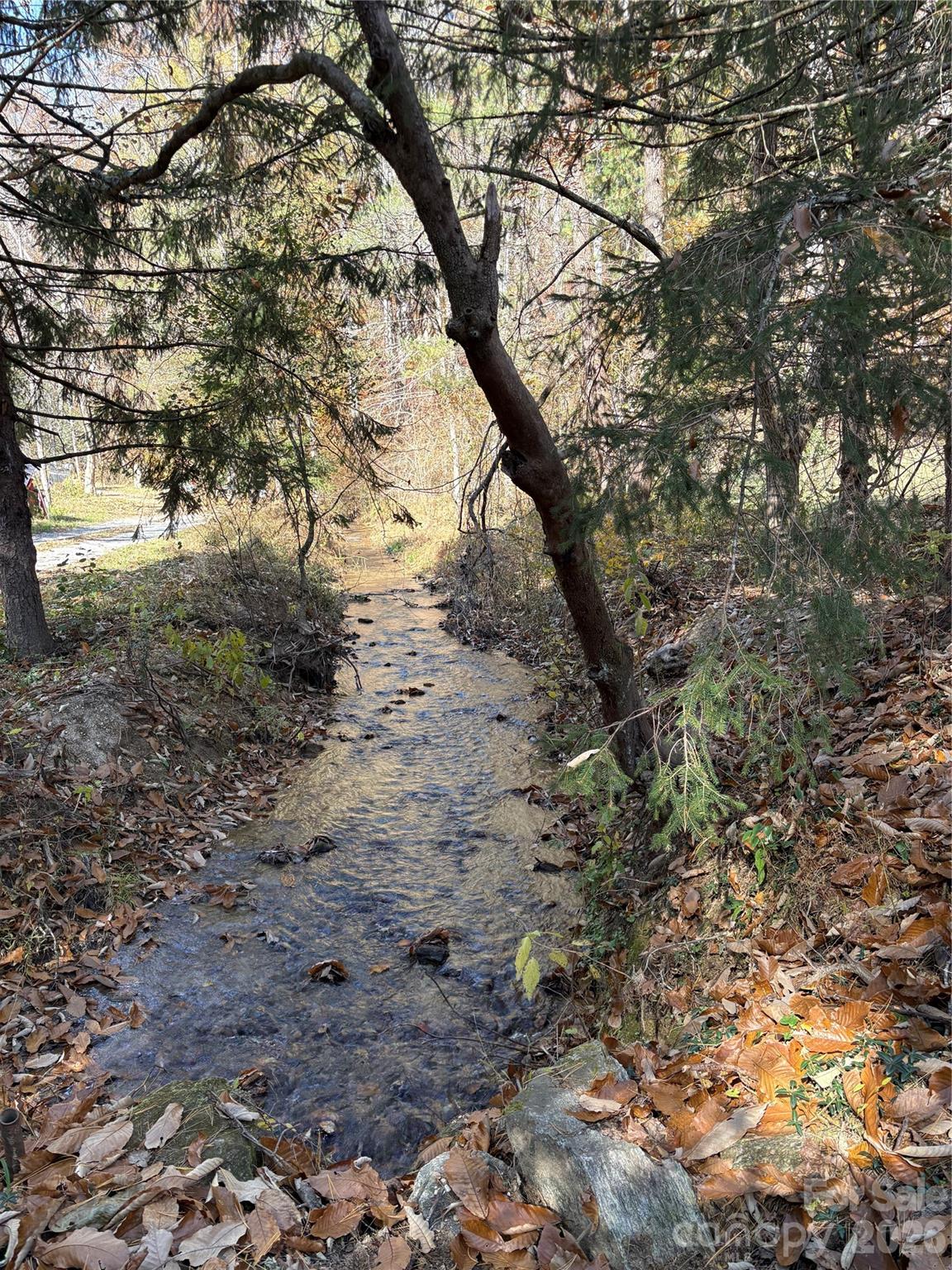 276 Cedar Creek Road Property Photo 19