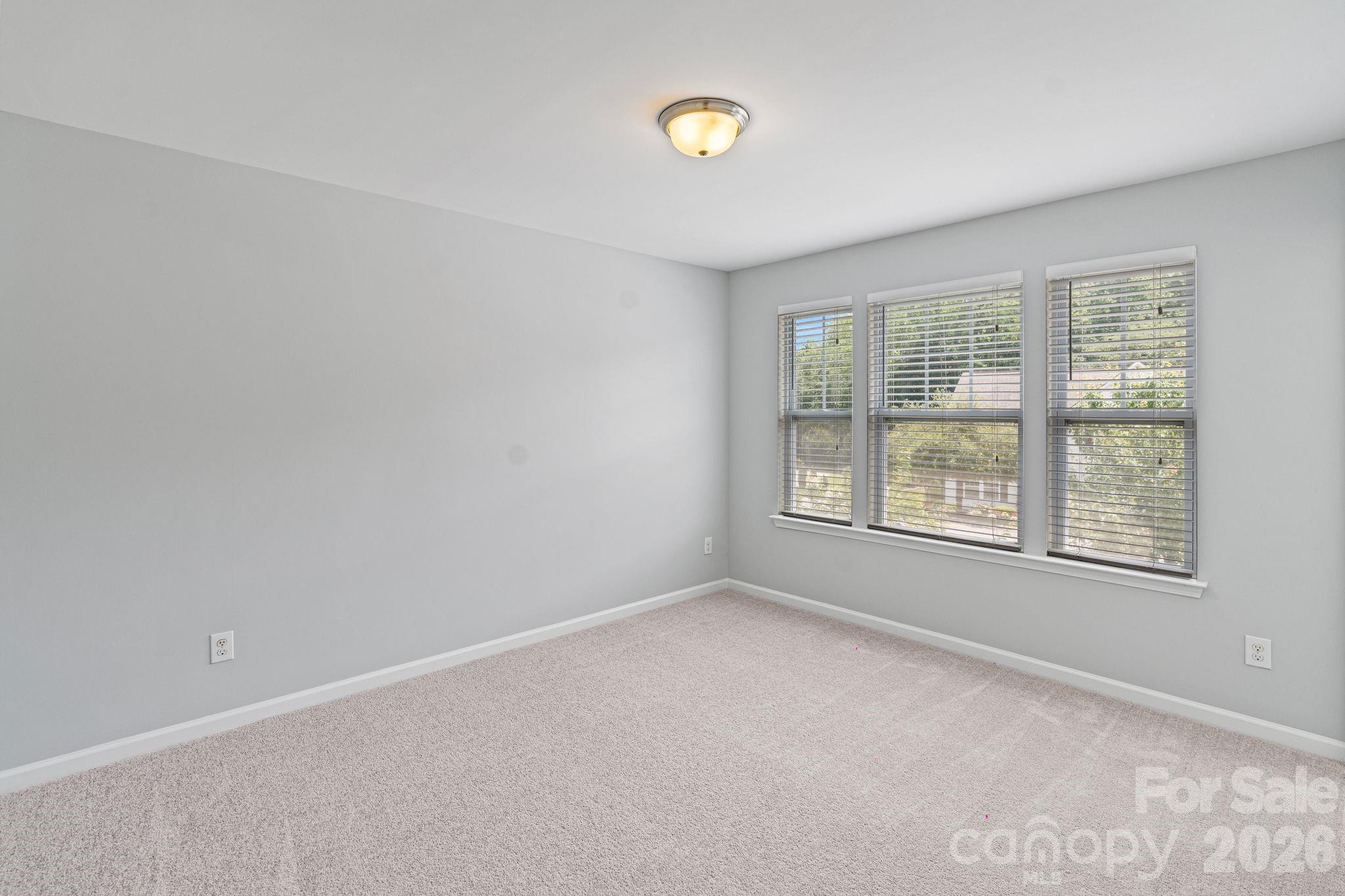 7129 Dove Field Lane Property Photo 21