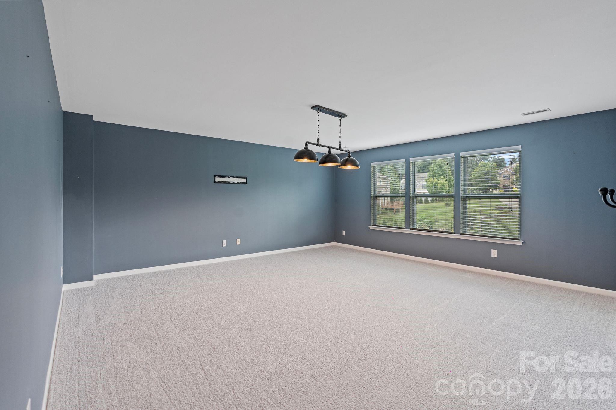 7129 Dove Field Lane Property Photo 23