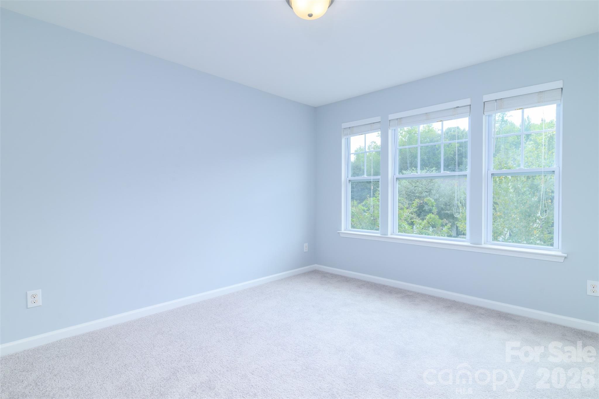 7129 Dove Field Lane Property Photo 23