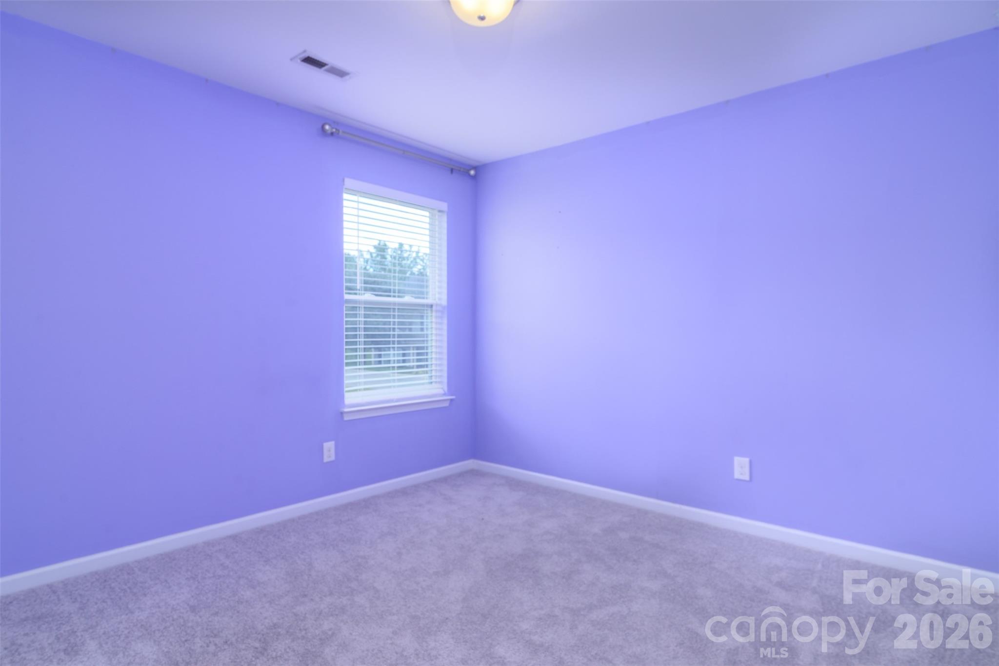 7129 Dove Field Lane Property Photo 24