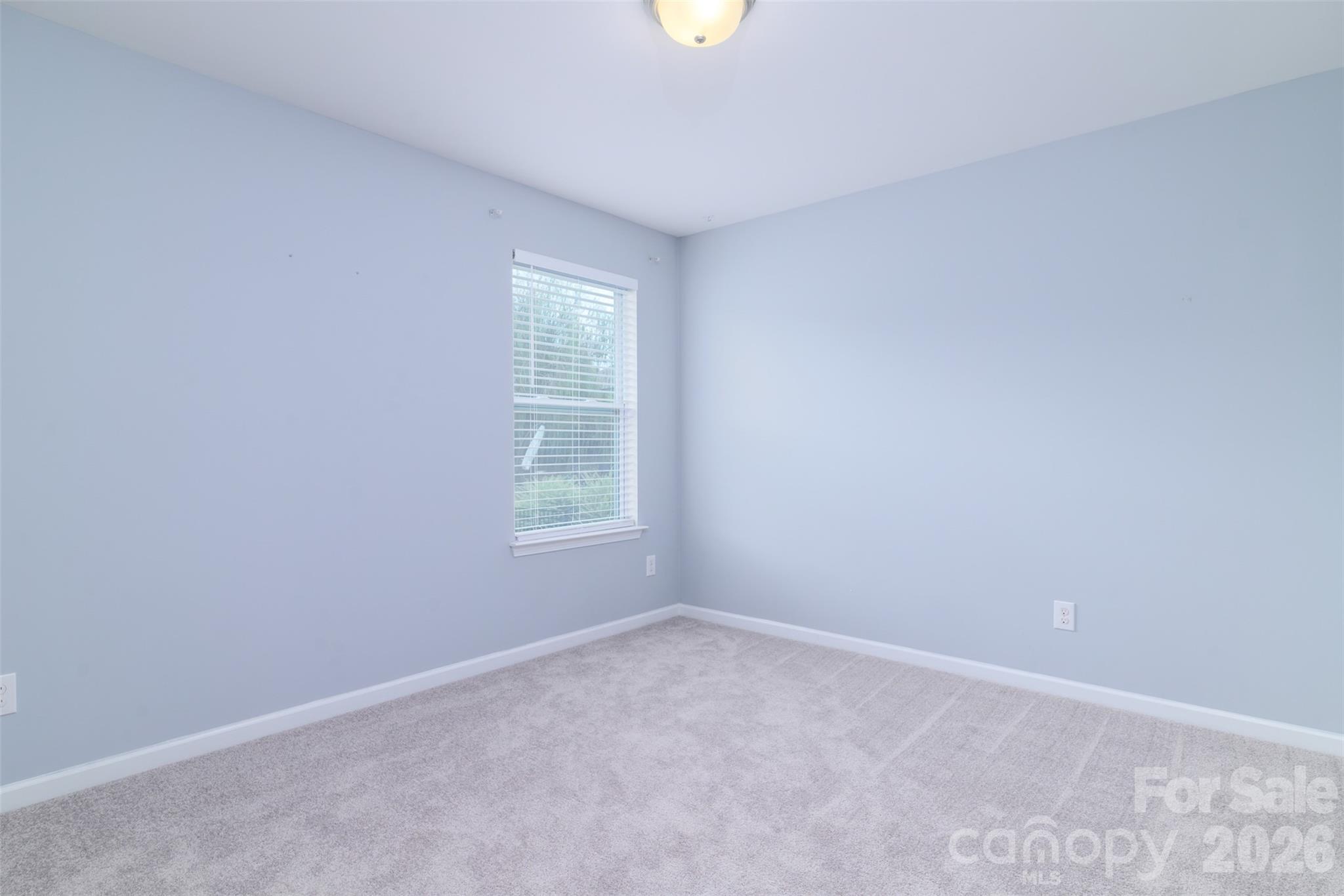 7129 Dove Field Lane Property Photo 25