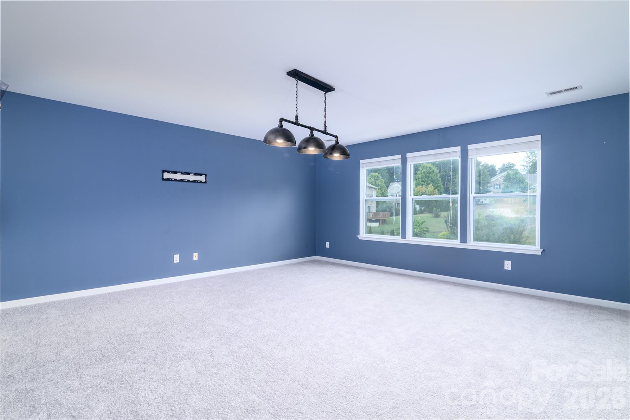 7129 Dove Field Lane Property Photo 27