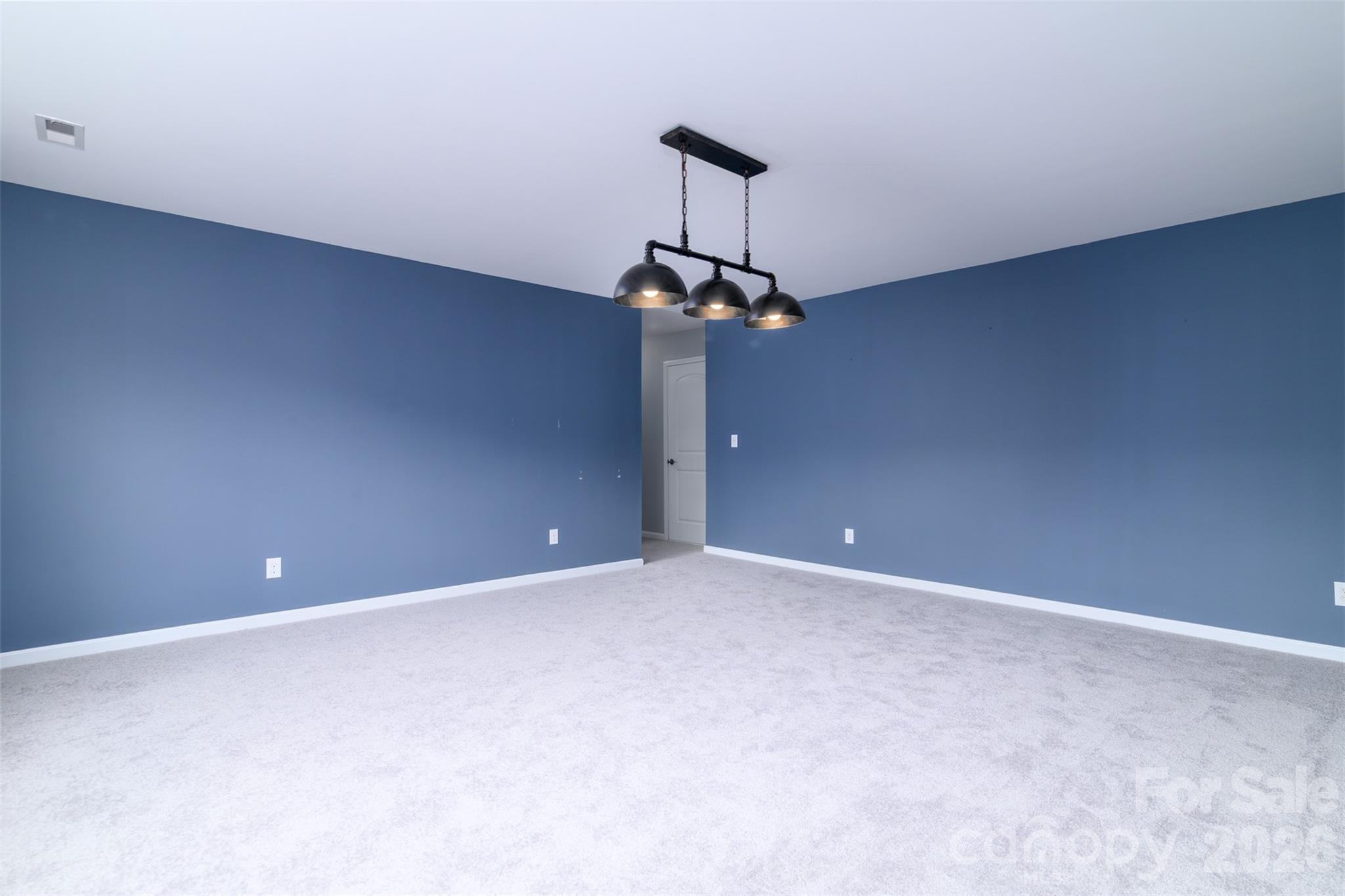 7129 Dove Field Lane Property Photo 28