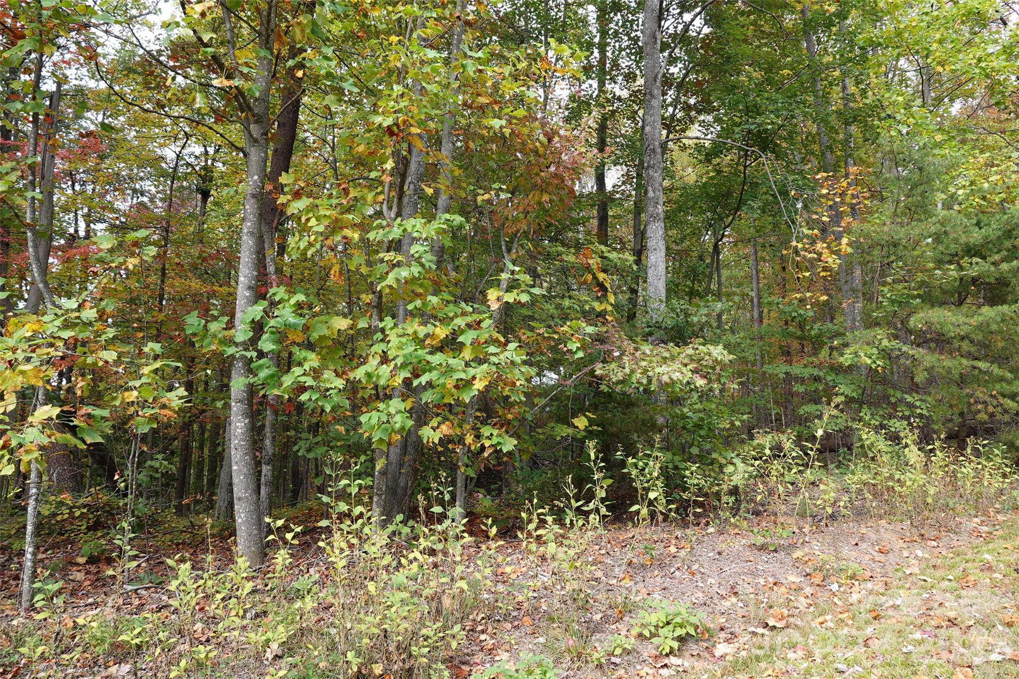 100 Sunset Drive Property Photo 1