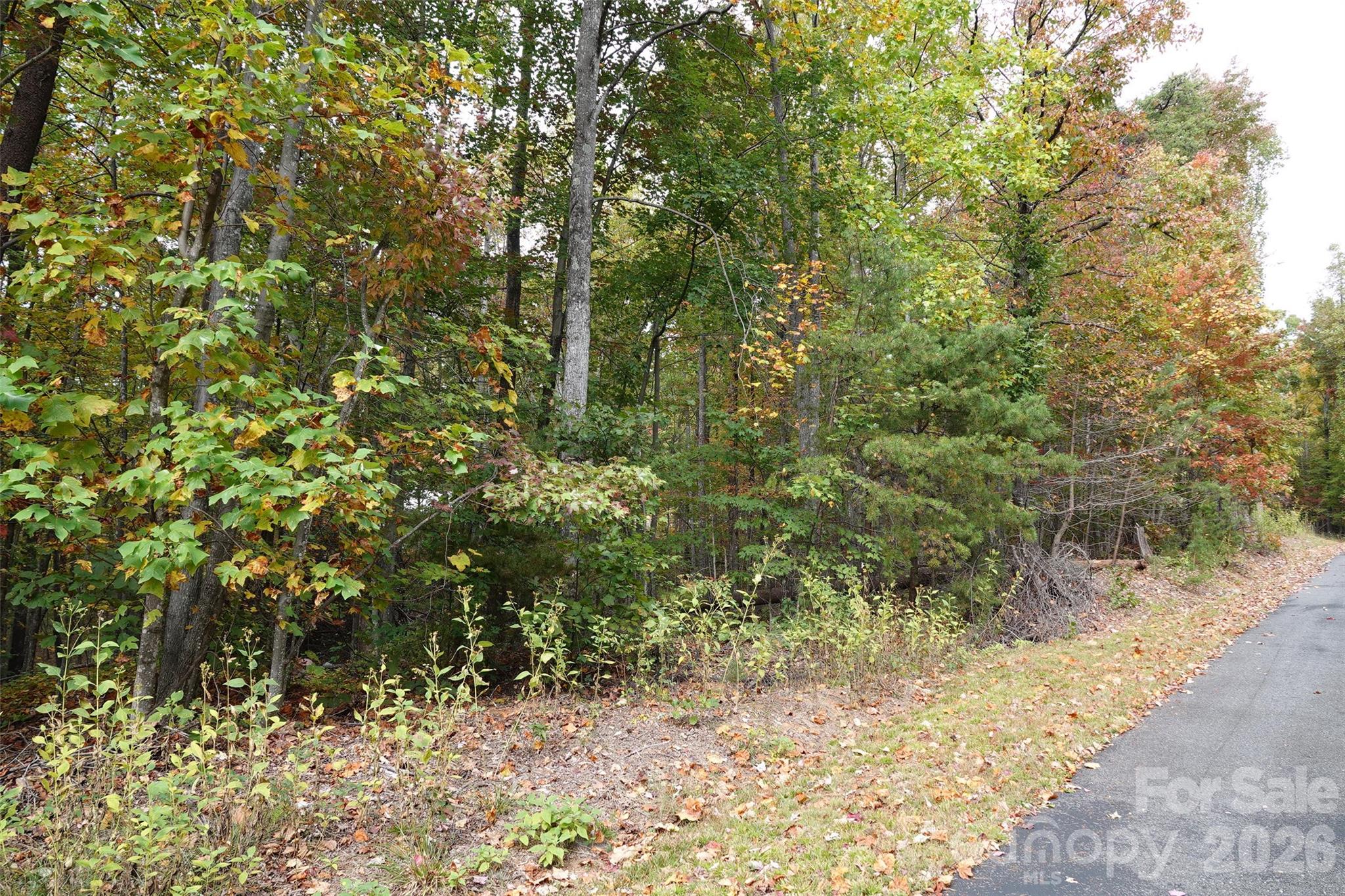 100 Sunset Drive Property Photo 4