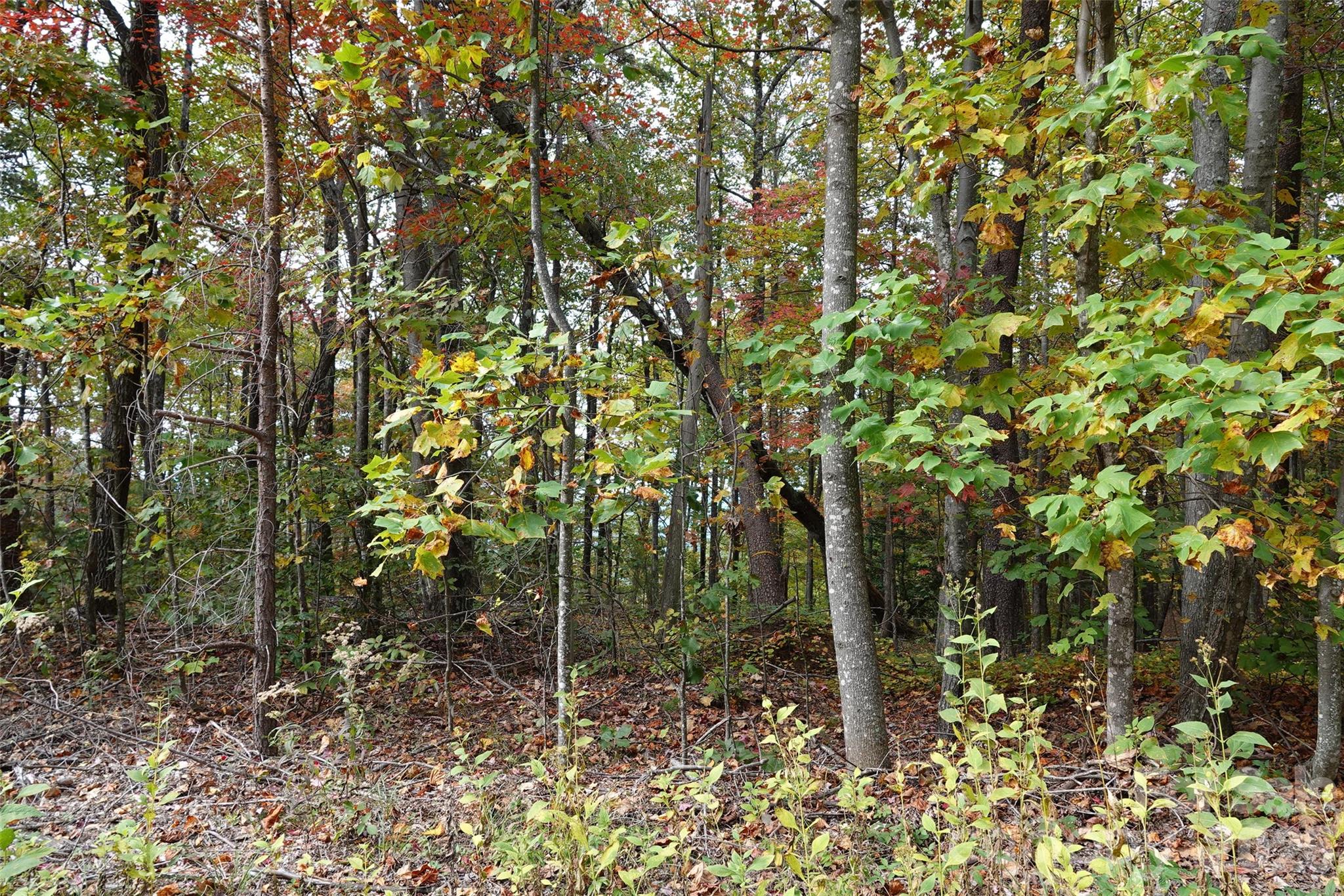 100 Sunset Drive Property Photo 6