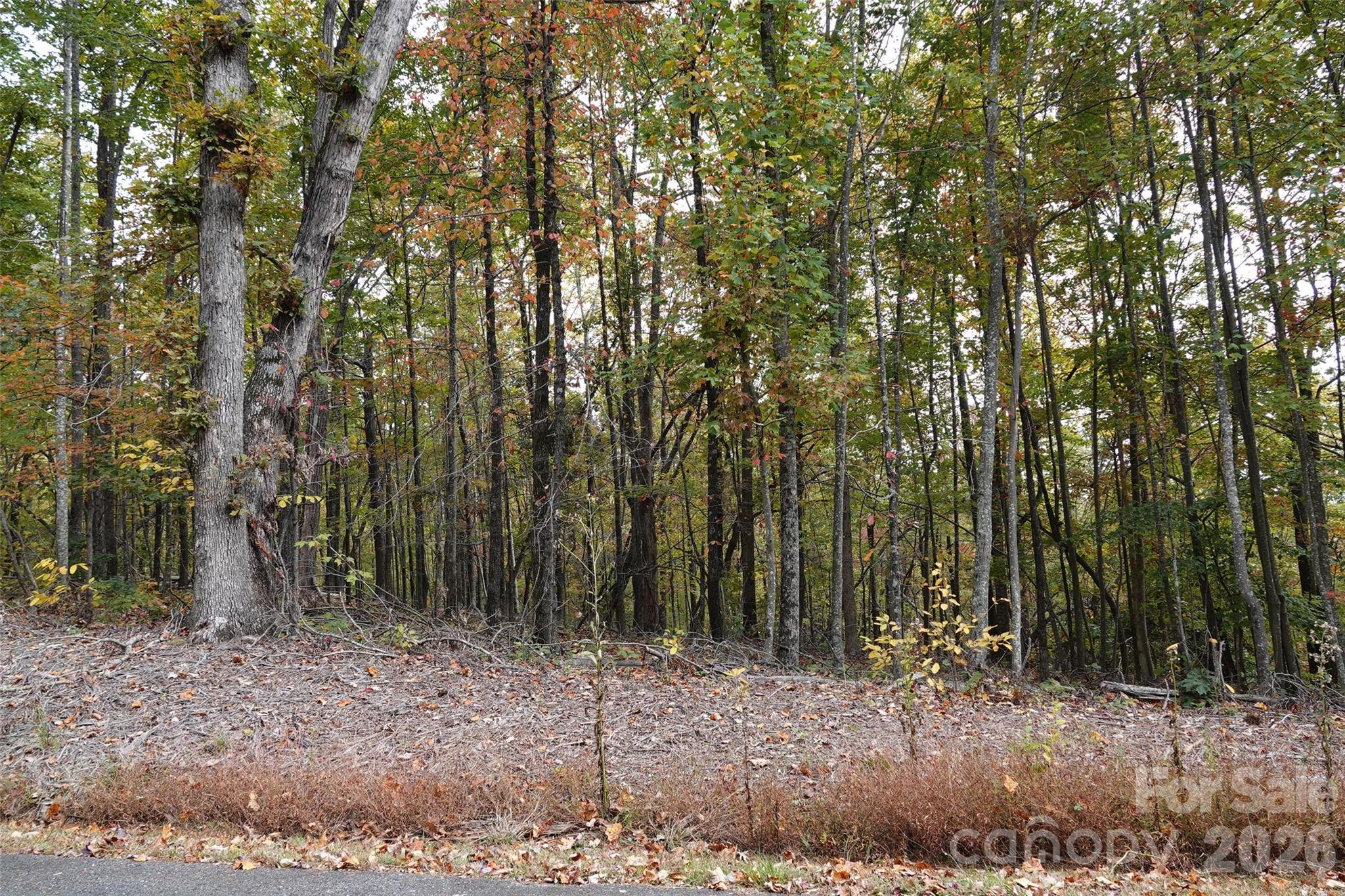 100 Sunset Drive Property Photo 7