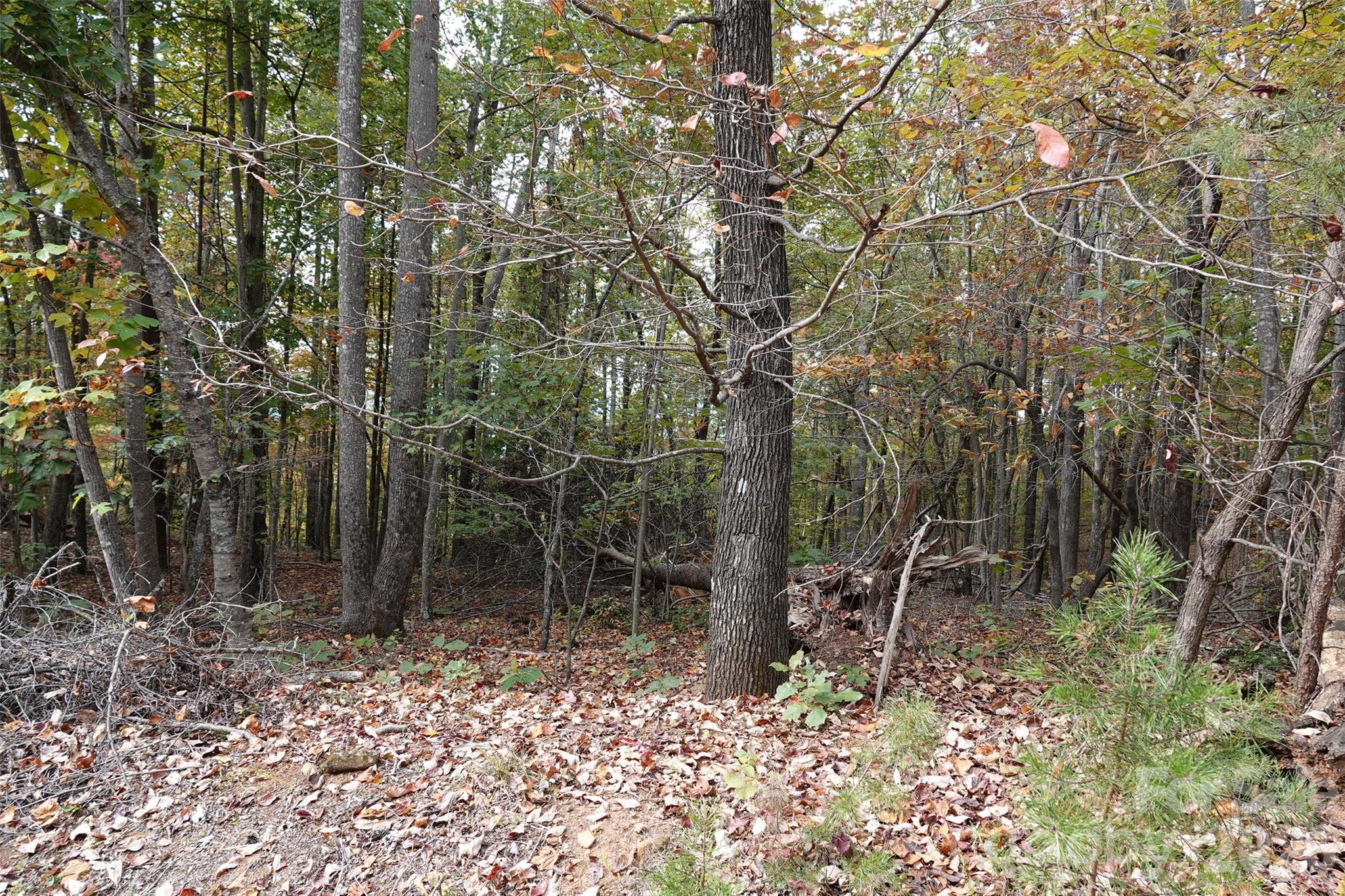 100 Sunset Drive Property Photo 8