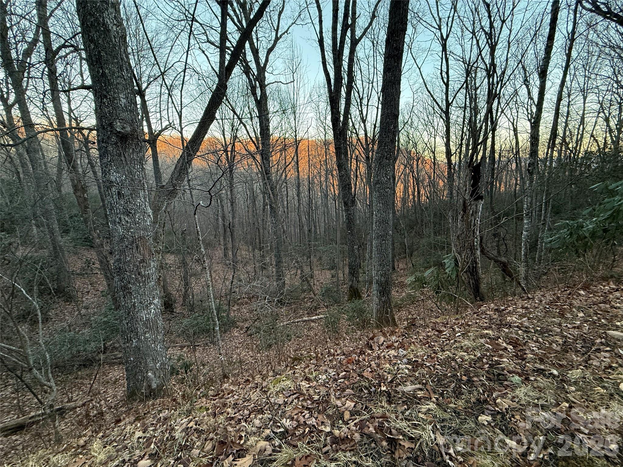 Lot 32 Bear Hollow Road 32 Property Photo 3