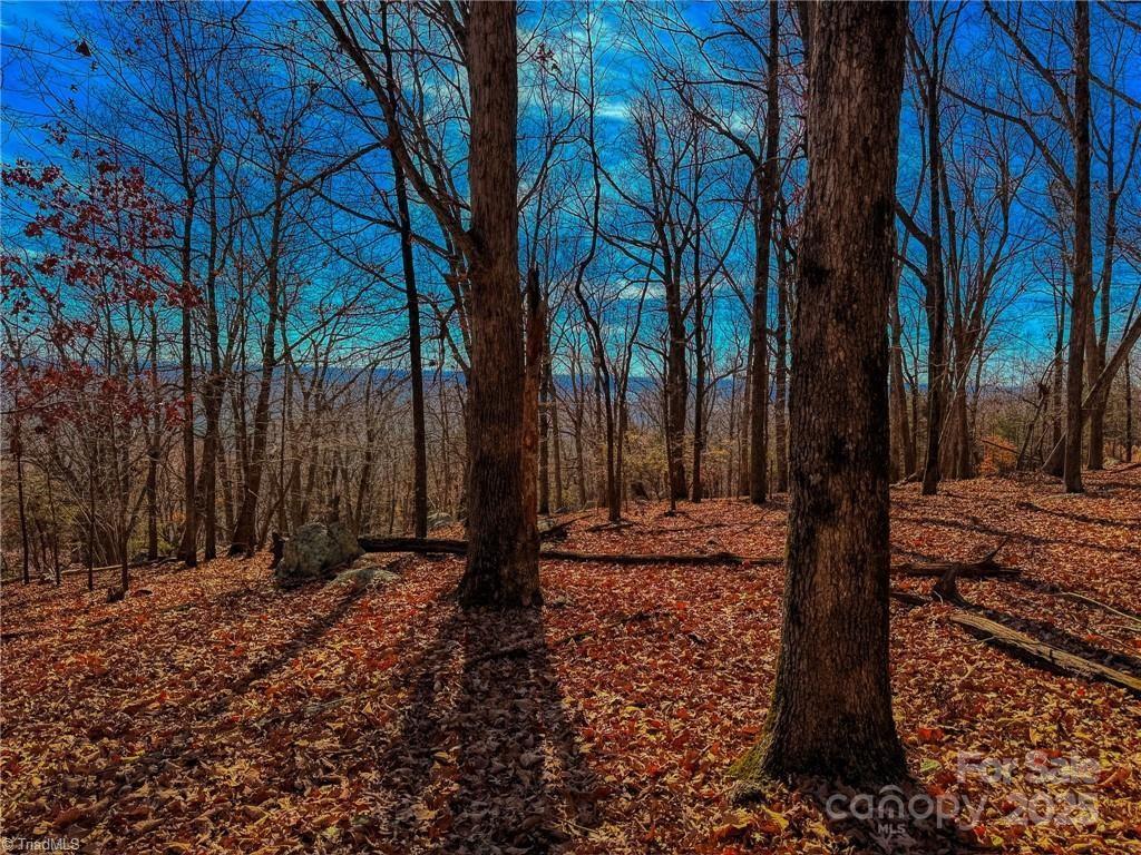 1644 Sierra Trace Road Property Photo 14