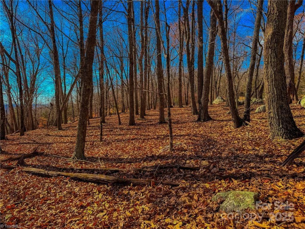 1644 Sierra Trace Road Property Photo 15
