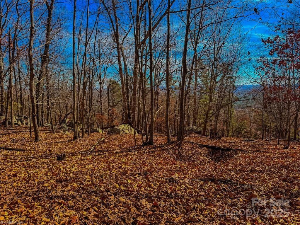 1644 Sierra Trace Road Property Photo 16