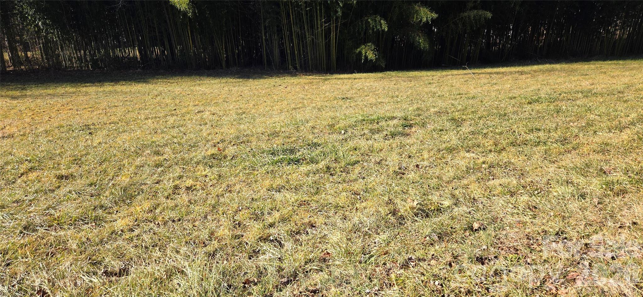 Lot 3 Turtle Rock Lane Property Photo 3