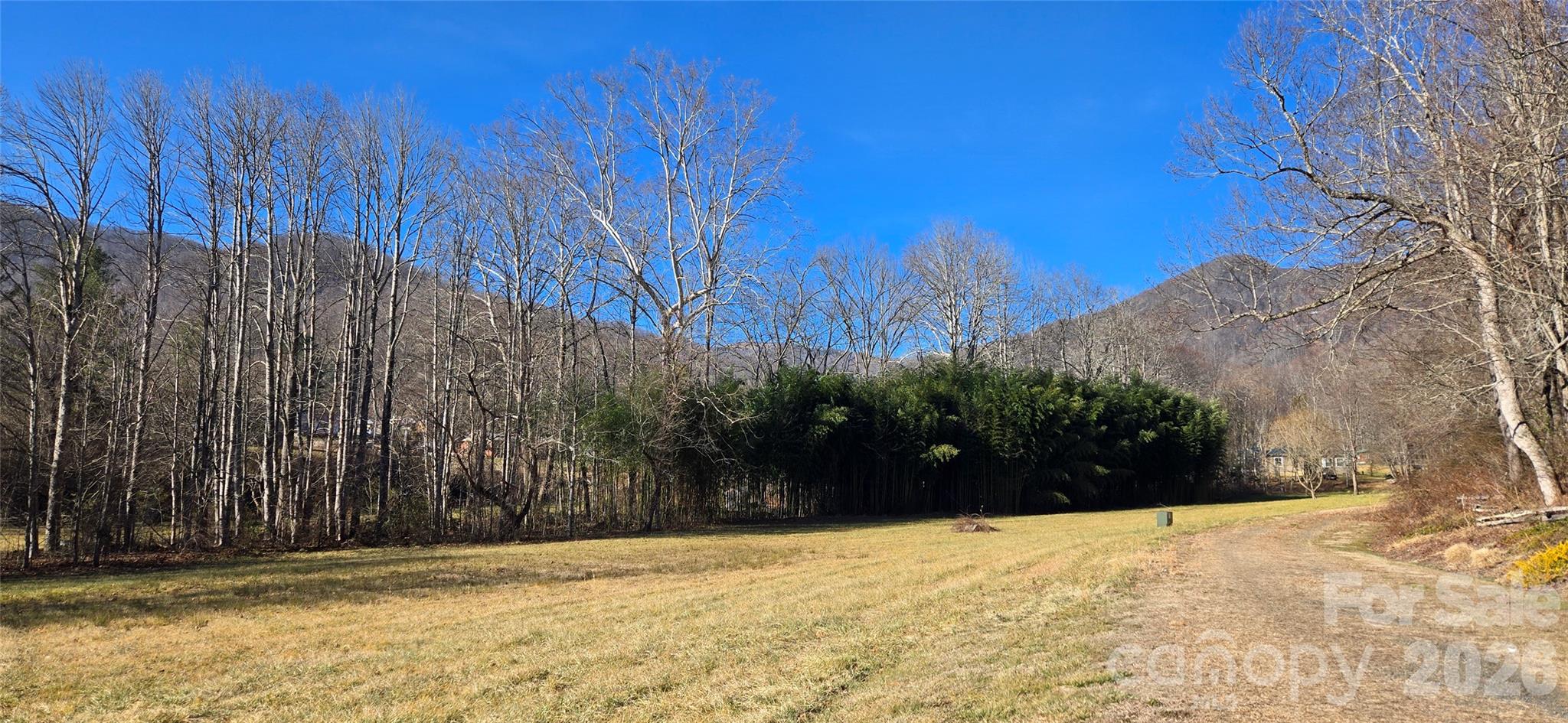 Lot 3 Turtle Rock Lane Property Photo 14
