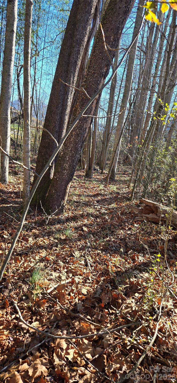 Lot 3 Turtle Rock Lane Property Photo 17