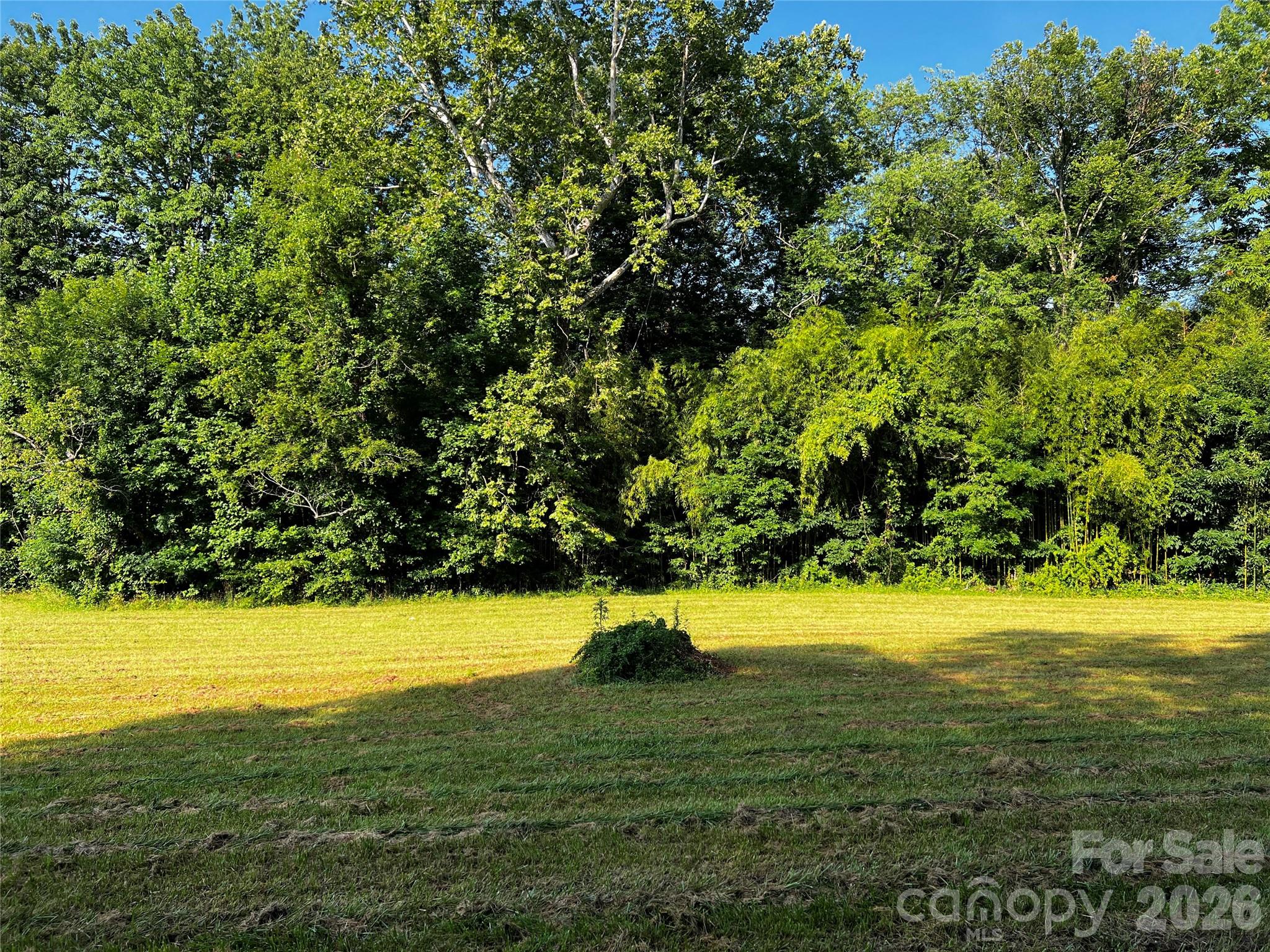 Lot 3 Turtle Rock Lane Property Photo 27