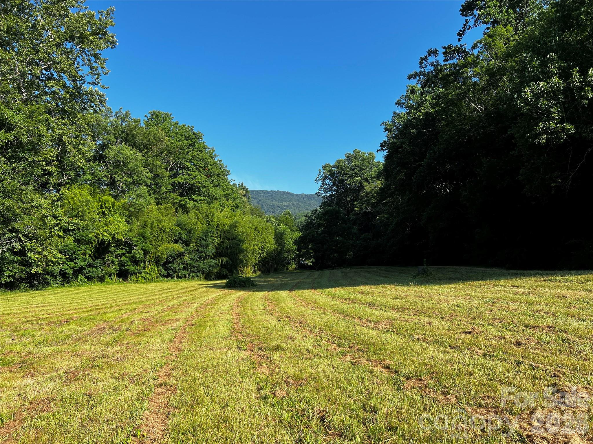 Lot 3 Turtle Rock Lane Property Photo 28