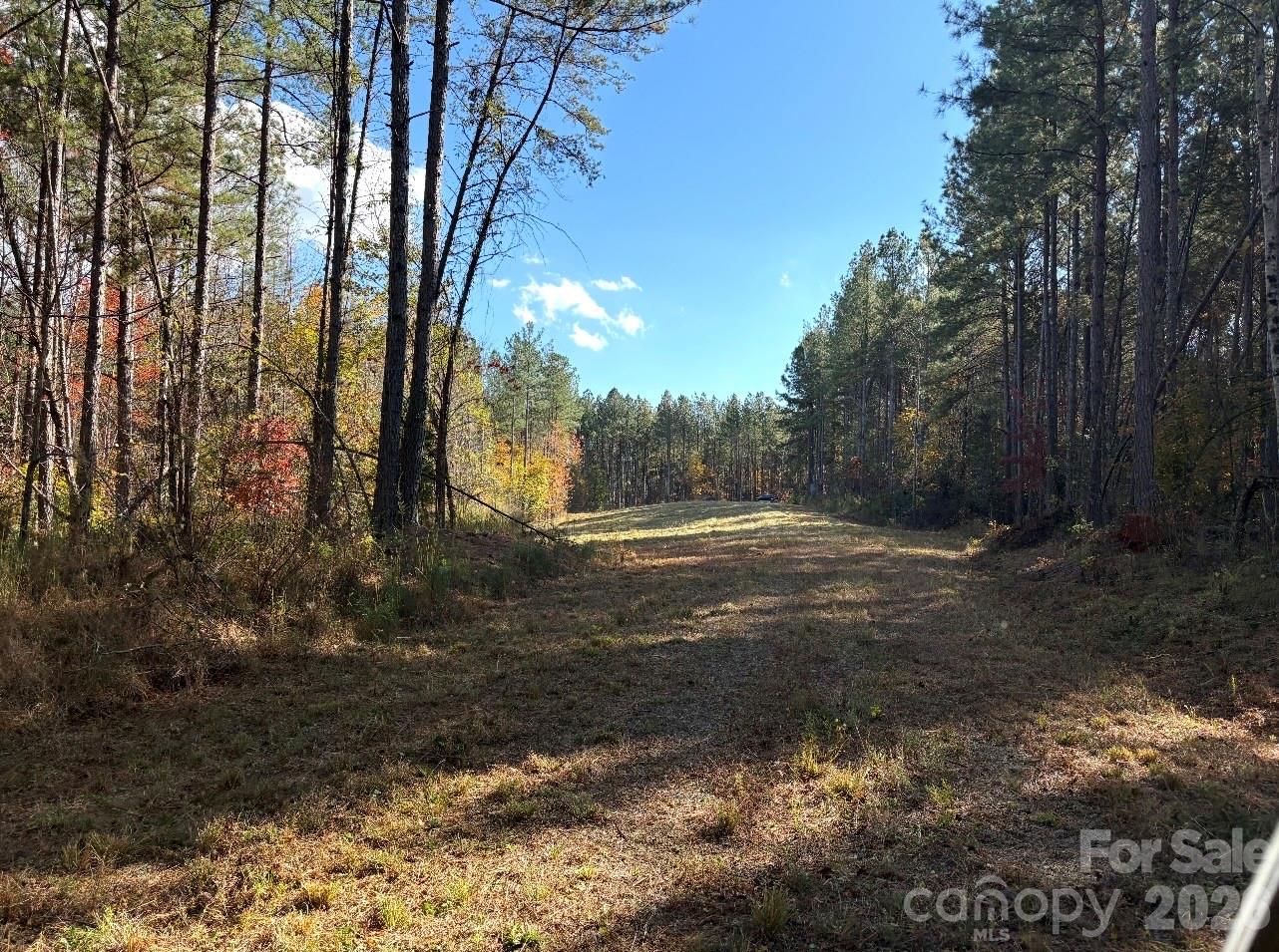 1486 Huffman Bridge Road Property Photo 15